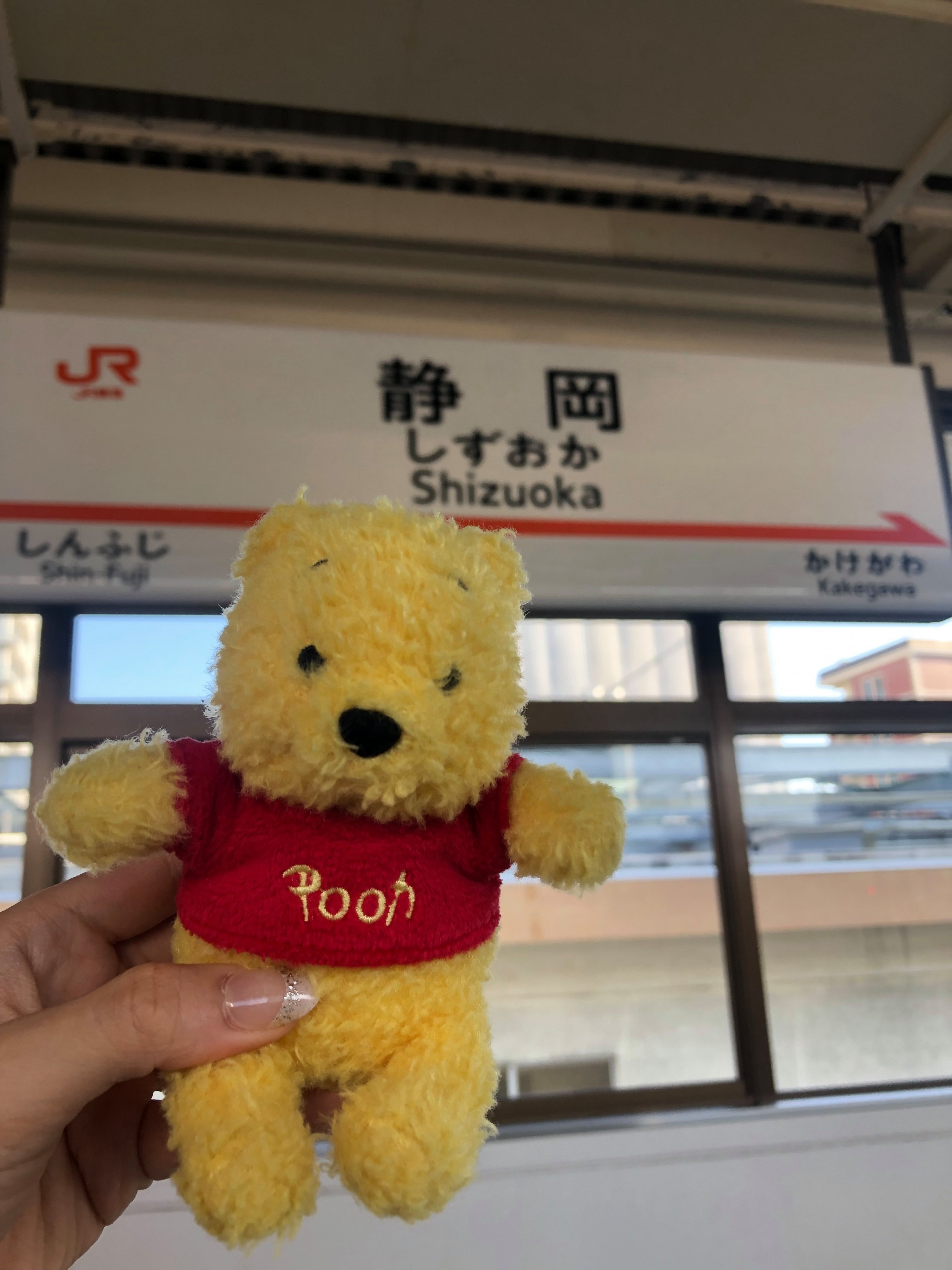 shizuoka poopjpg?width=698&height=466&fit=crop&auto=webp&dpr=4