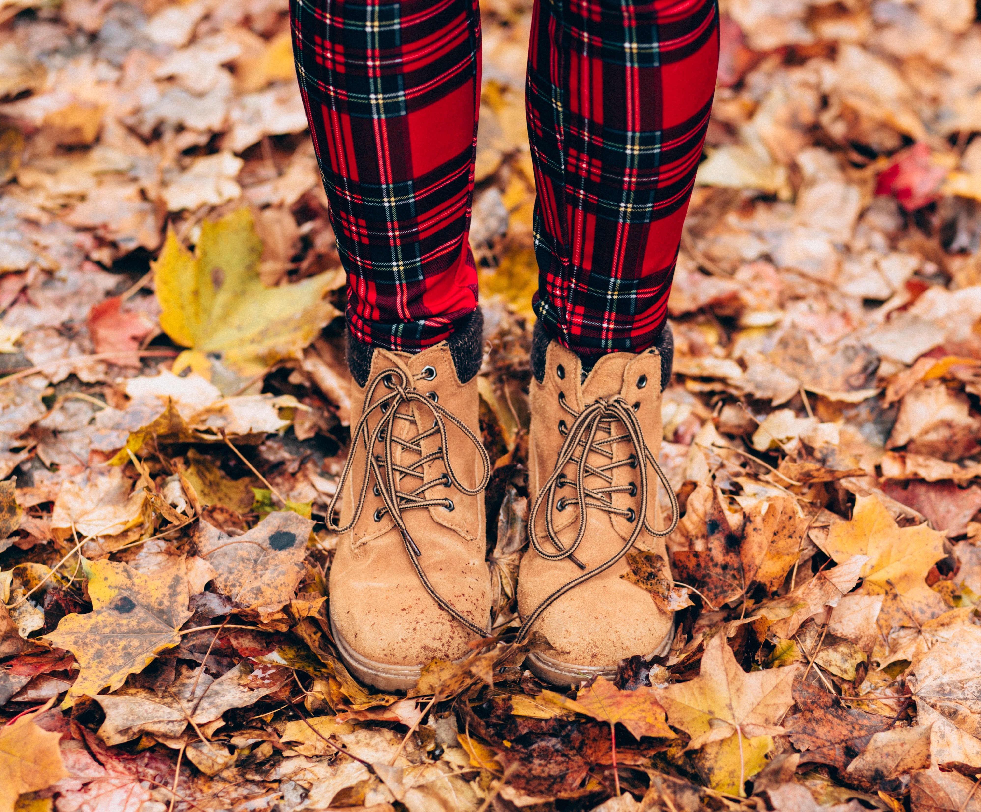 freestocks org cAN5603l3hE unsplashjpg?width=698&height=466&fit=crop&auto=webp&dpr=4