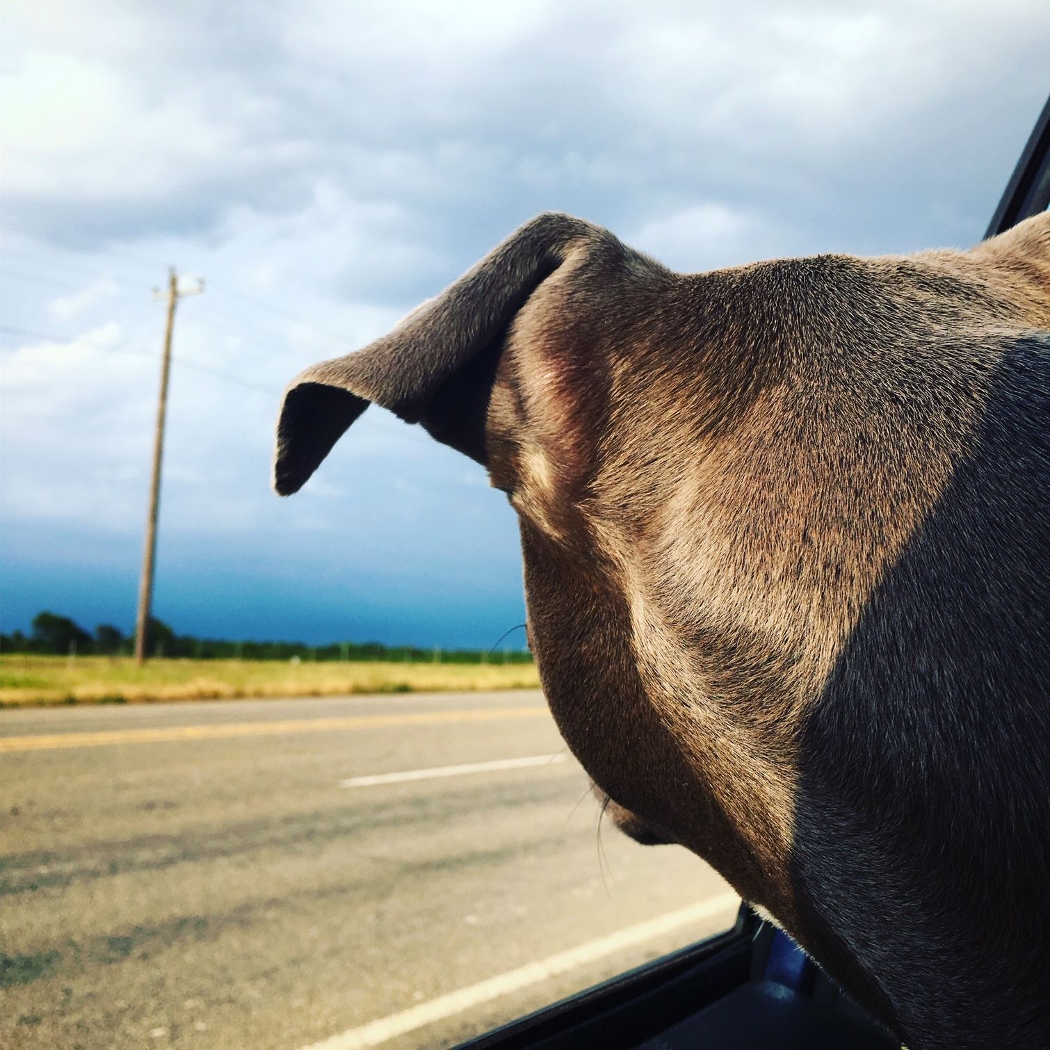 451FFAB2 088F 4EF3 9AC2 77E9E262A73DJPG?width=1280&height=854&fit=crop&auto=webp&dpr=4