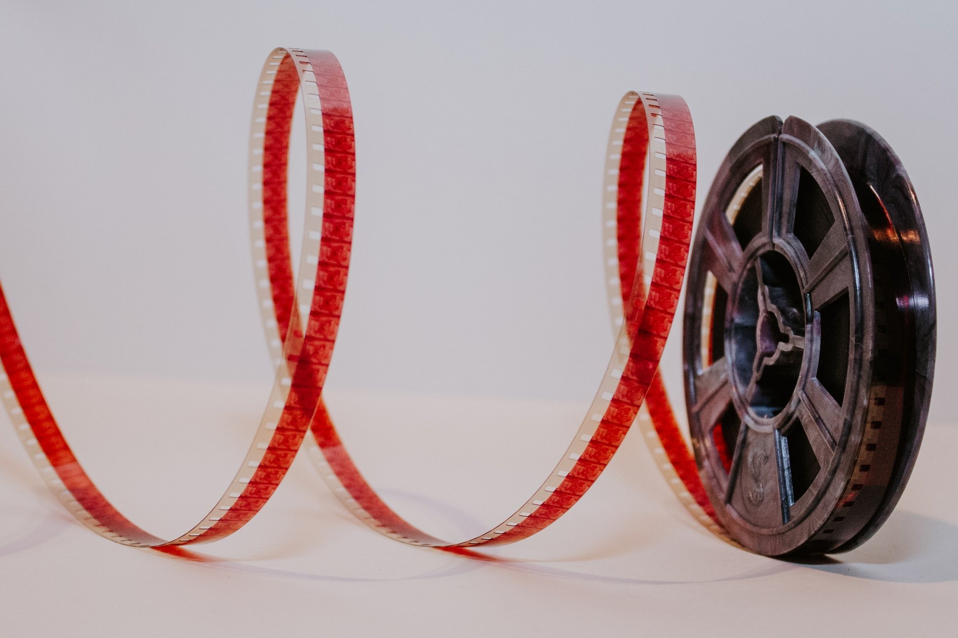 photo 1543536448 d209d2d13a1cjpg?width=698&height=466&fit=crop&auto=webp&dpr=4