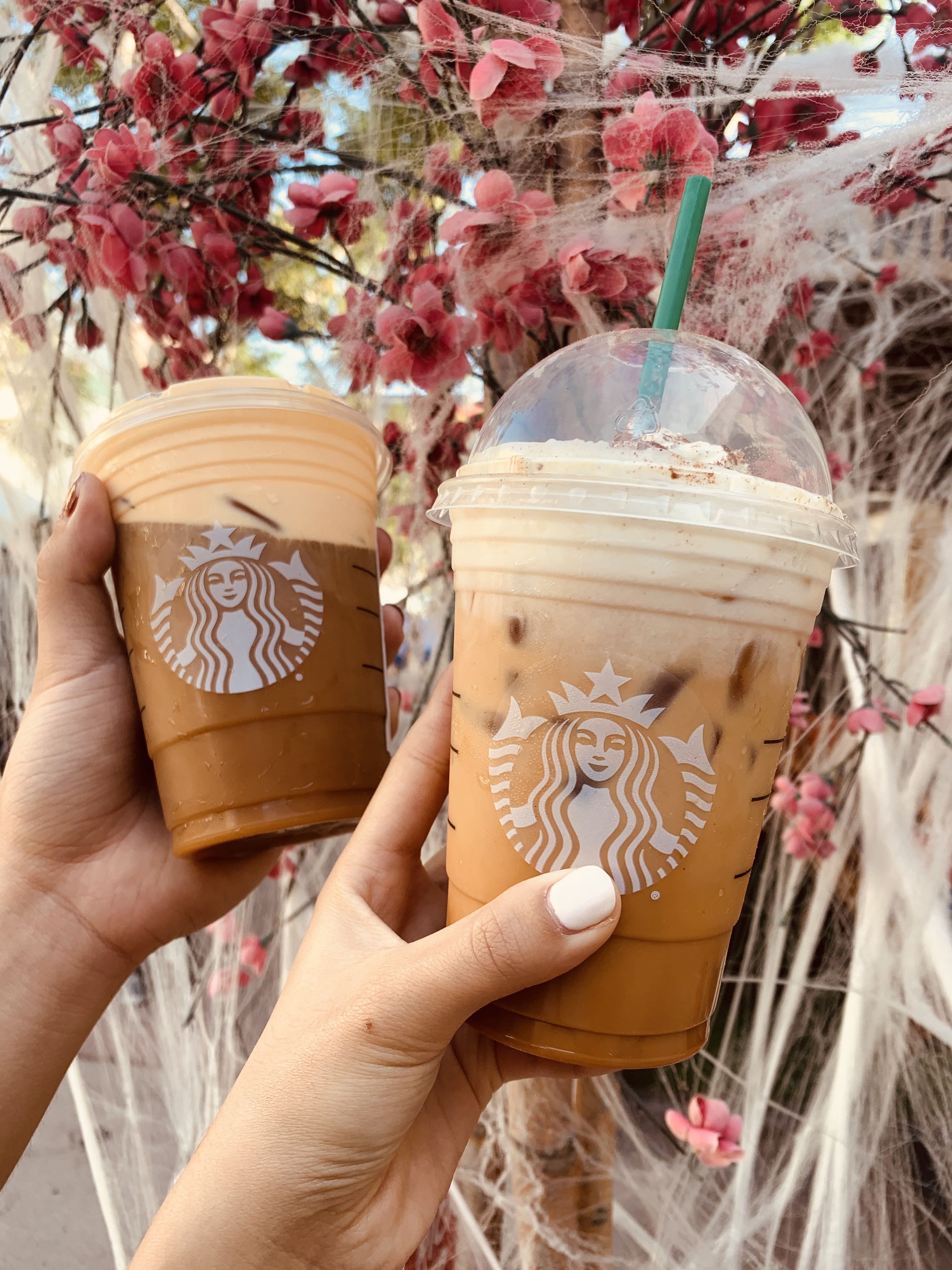 IMG 4638jpg?width=698&height=466&fit=crop&auto=webp&dpr=4