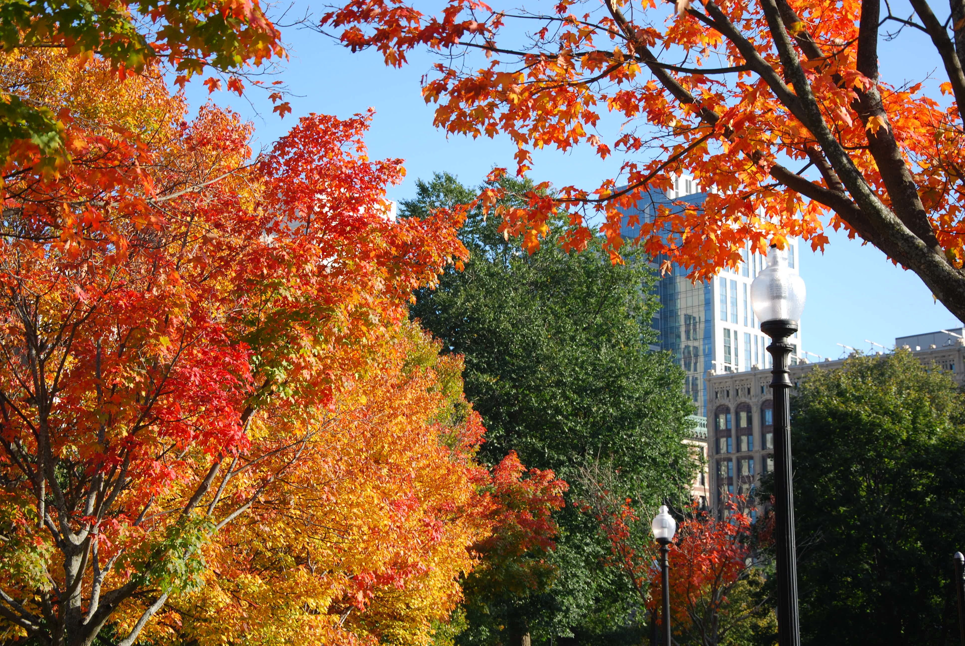 Wisner cover photoJPG?width=698&height=466&fit=crop&auto=webp&dpr=4