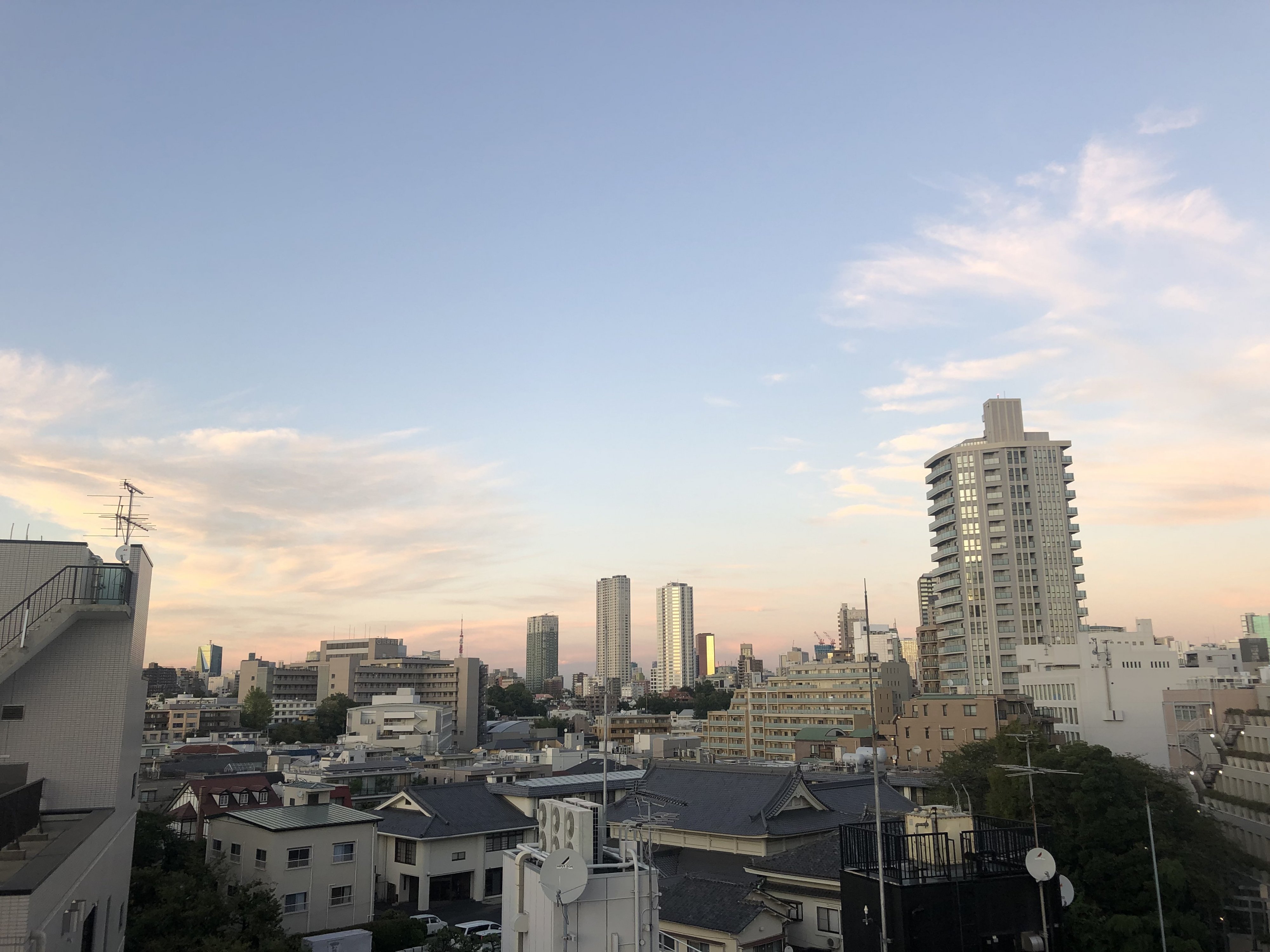 IMG 5464jpg?width=698&height=466&fit=crop&auto=webp&dpr=4