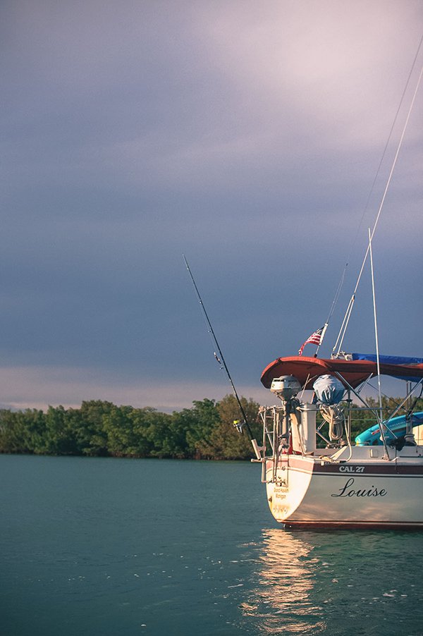 body images 2019 09 26 louise 2jpg?width=698&height=466&fit=crop&auto=webp&dpr=4