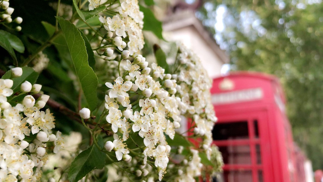 Salman Coverpng?width=698&height=466&fit=crop&auto=webp&dpr=4