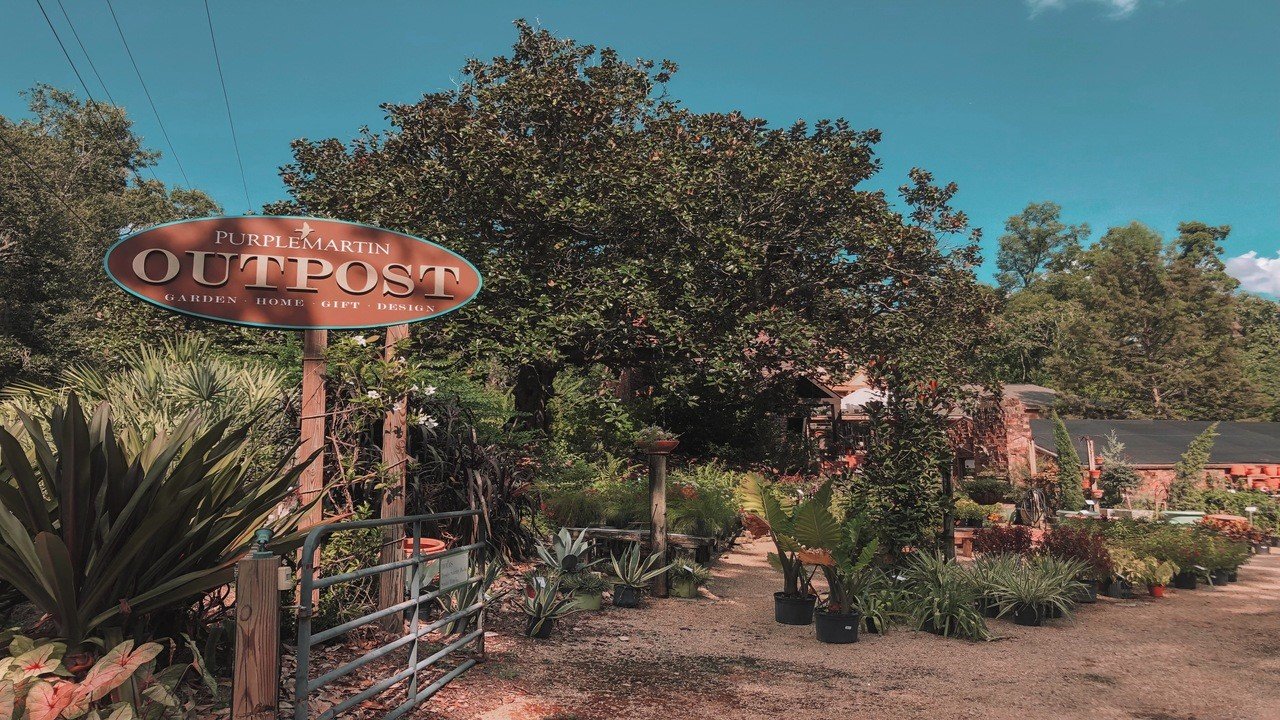 vanessa 1jpg?width=698&height=466&fit=crop&auto=webp&dpr=4