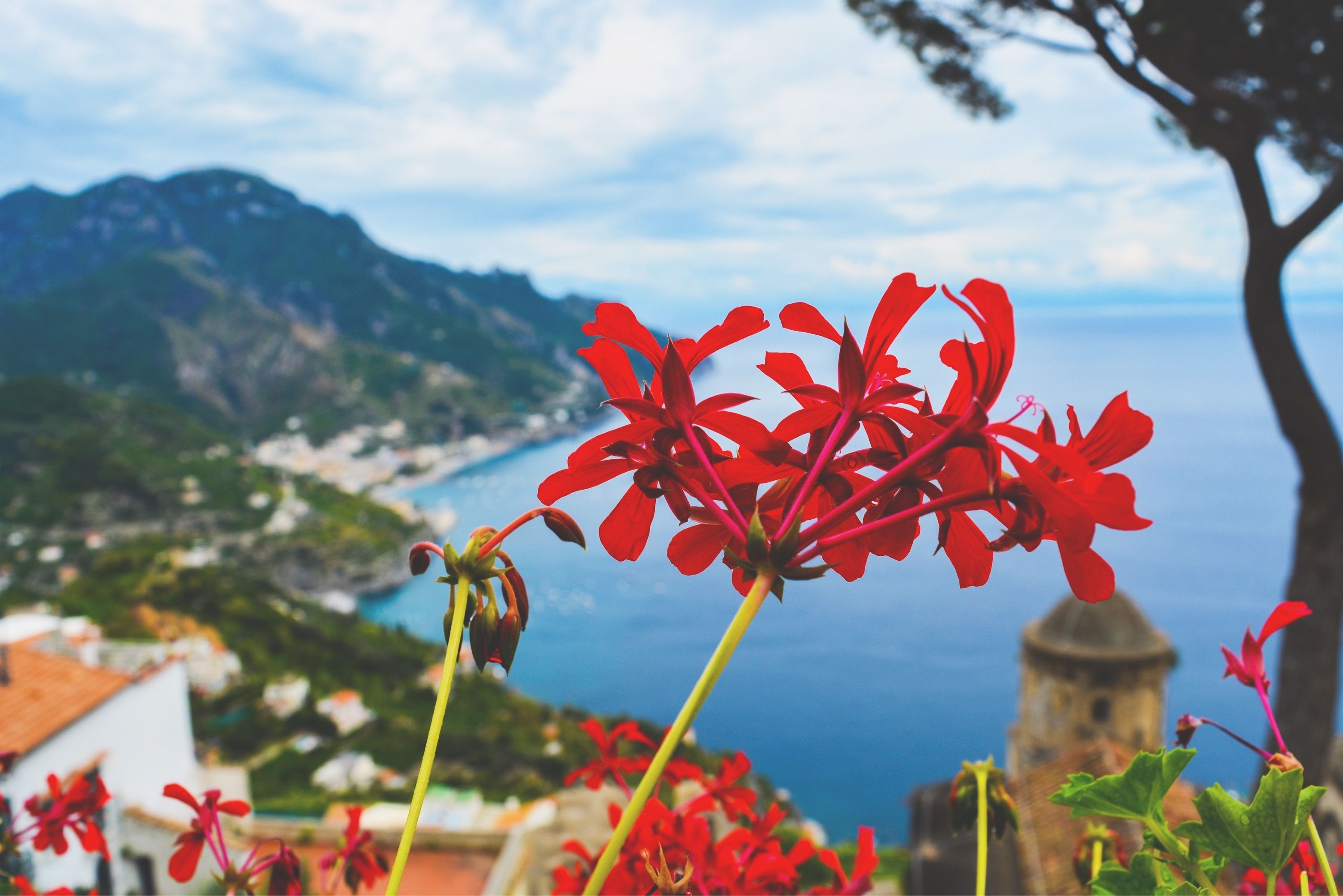 IMG 0027JPG?width=698&height=466&fit=crop&auto=webp&dpr=4