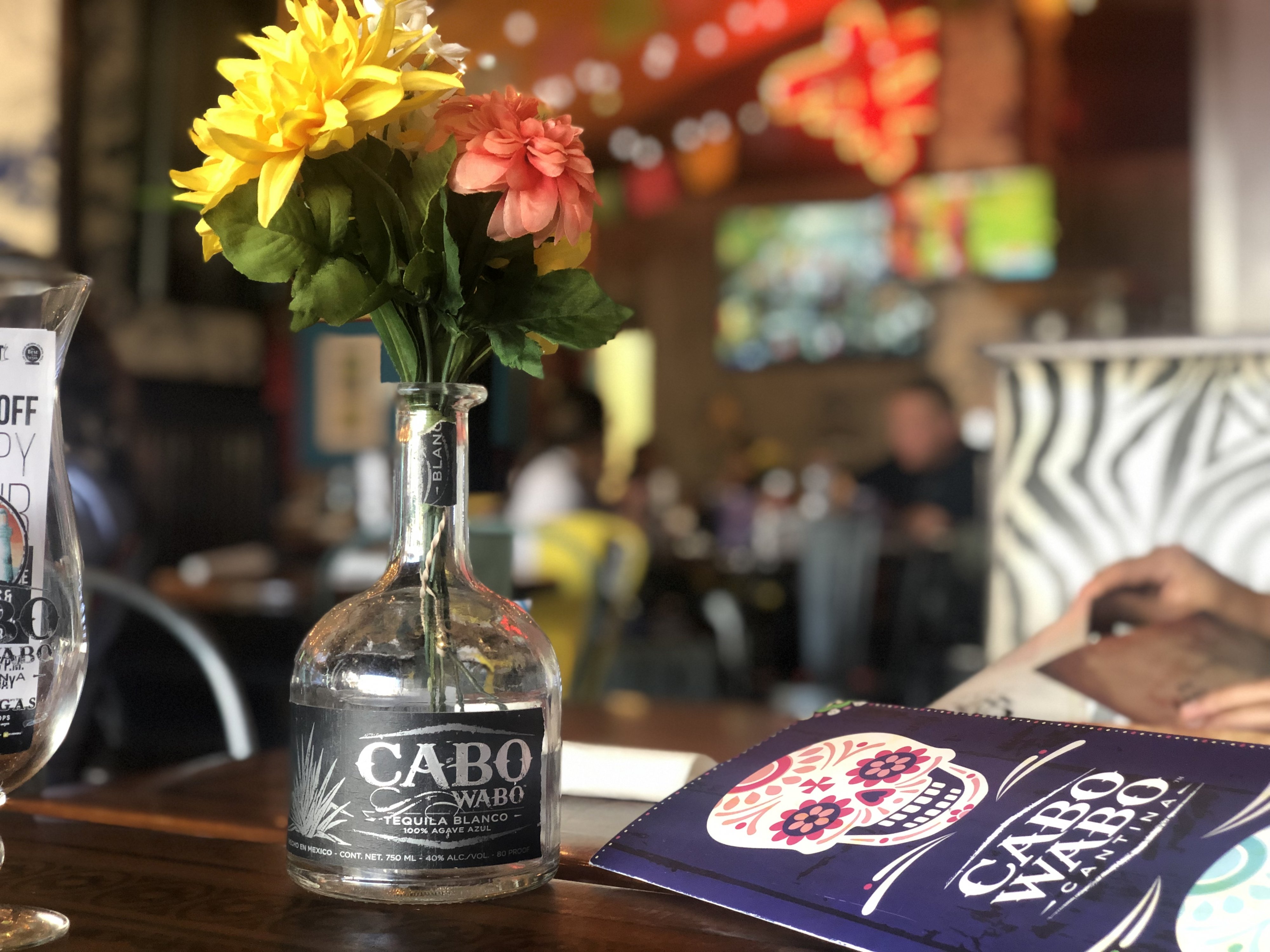 IMG 0489jpg?width=698&height=466&fit=crop&auto=webp&dpr=4