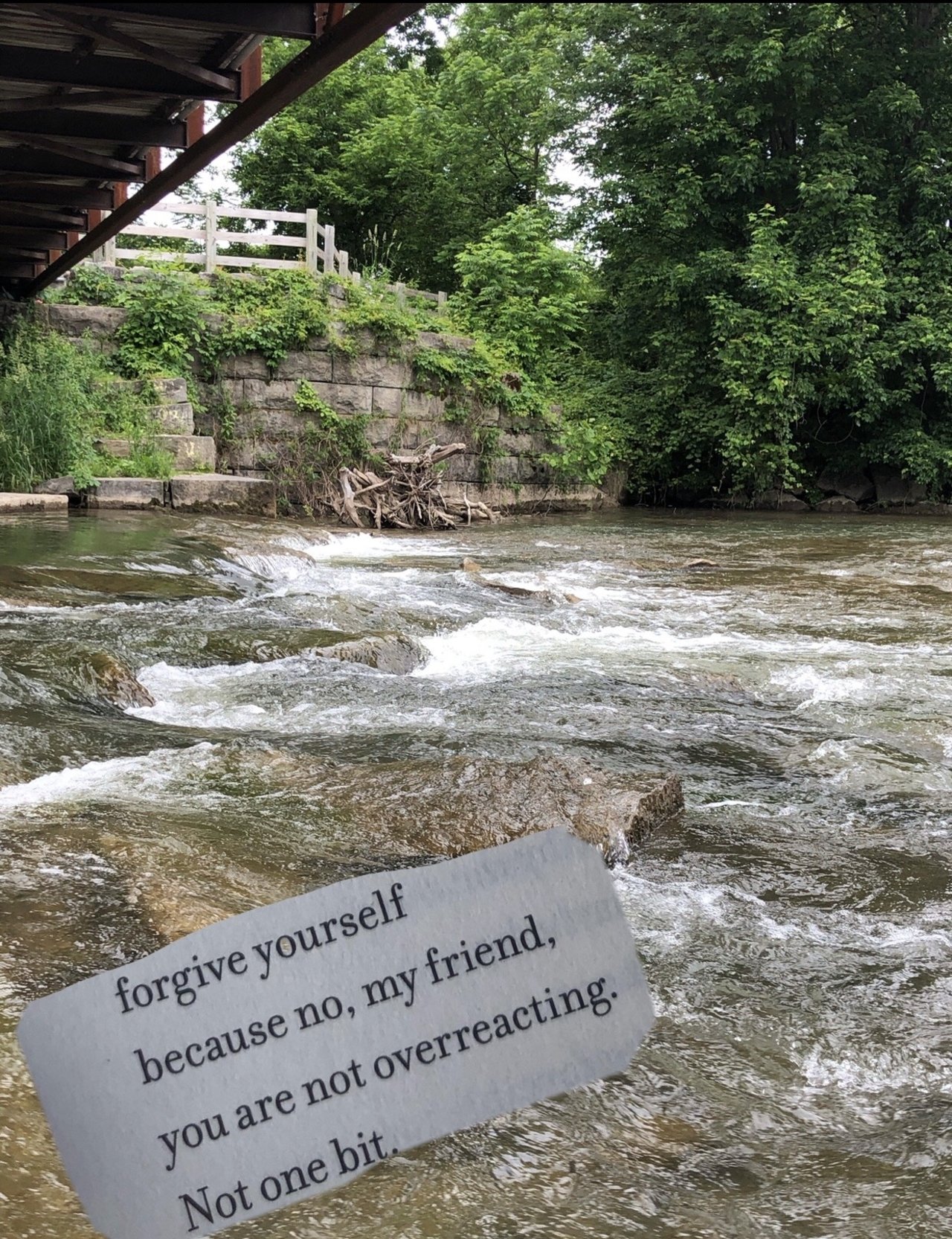 Webpnet resizeimagejpg?width=698&height=466&fit=crop&auto=webp&dpr=4