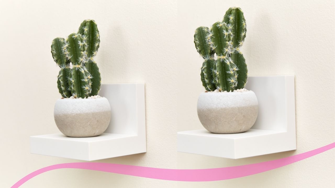 Command herojpg?width=1280&height=854&fit=crop&auto=webp&dpr=4