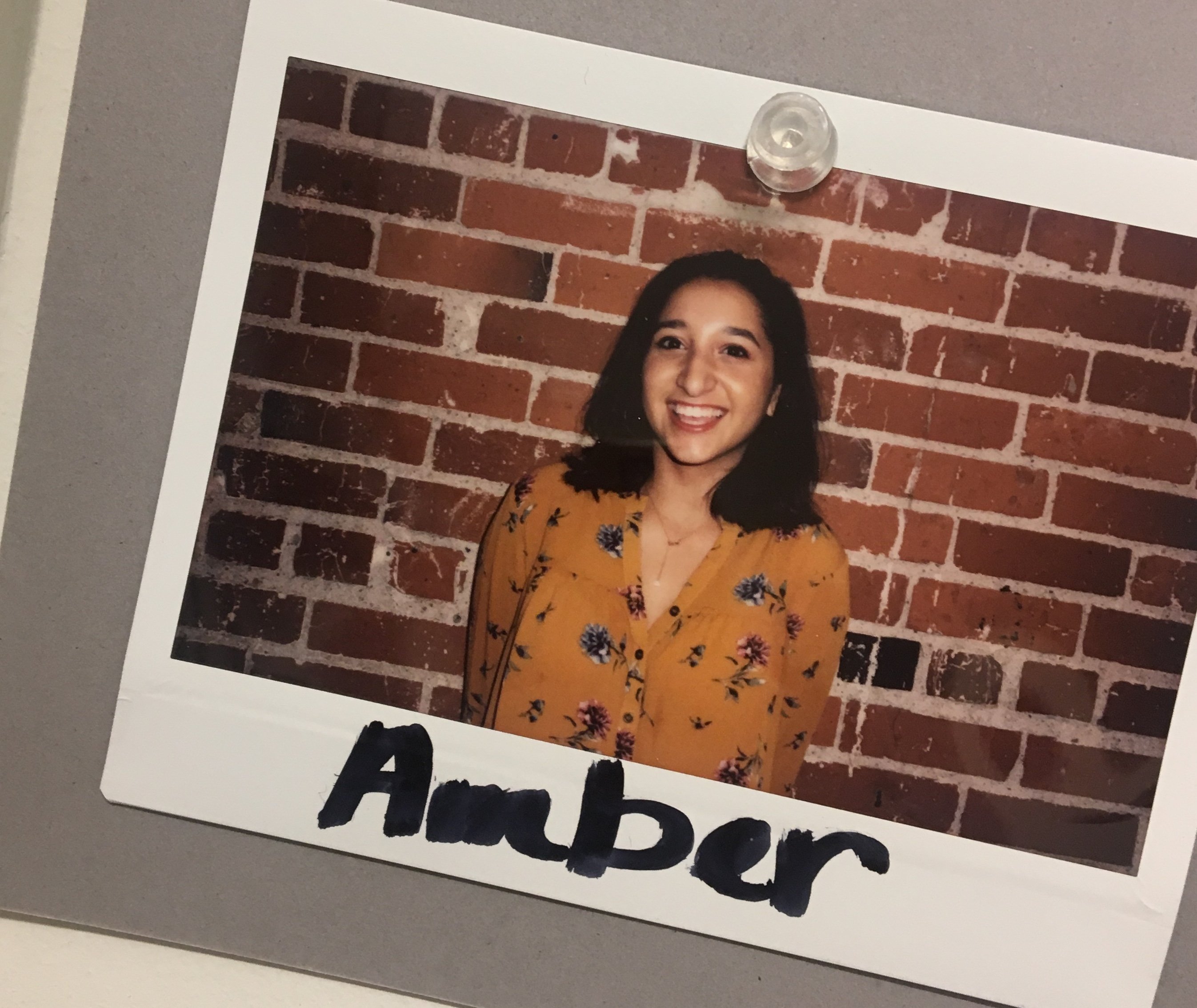 IMG 0059 2jpg?width=698&height=466&fit=crop&auto=webp&dpr=4