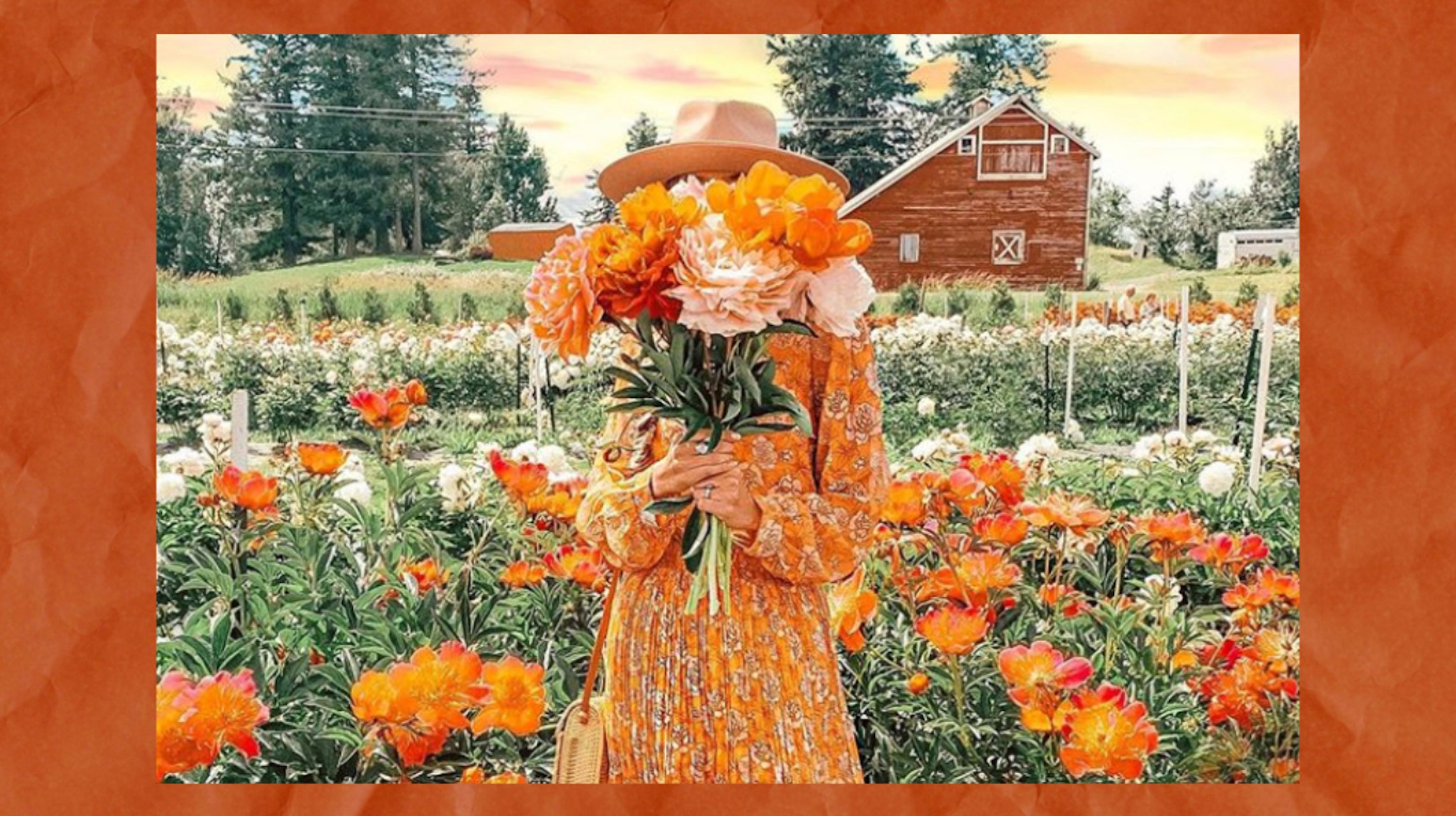 Screen Shot 2019 06 20 at 21101 PMpng?width=698&height=466&fit=crop&auto=webp&dpr=4