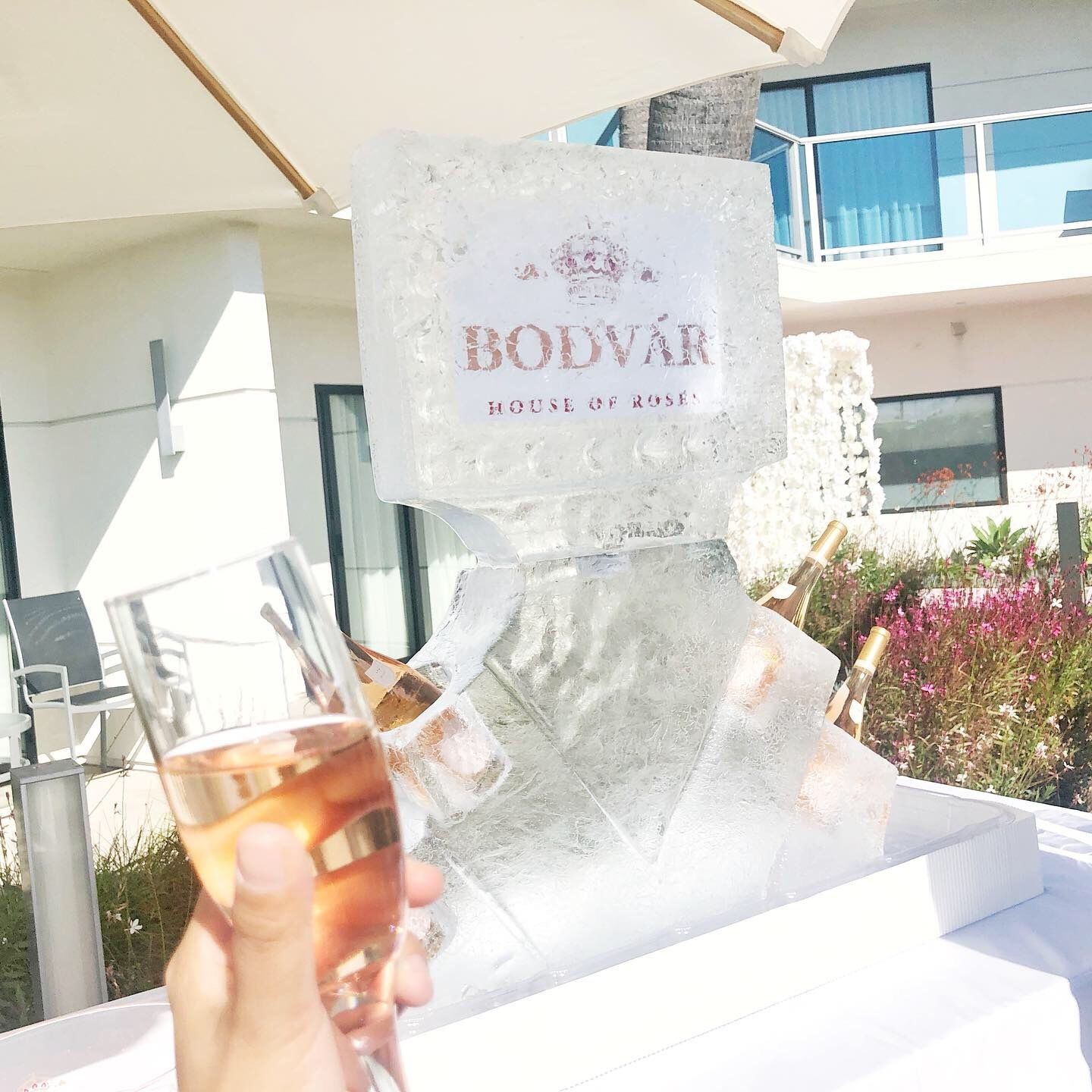 E4B5938A B8D5 4C81 9877 21CD65EDD8D3JPG?width=698&height=466&fit=crop&auto=webp&dpr=4