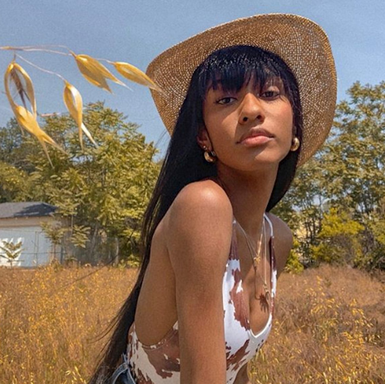 Screen Shot 2019 06 05 at 21307 PMpng?width=698&height=466&fit=crop&auto=webp&dpr=4