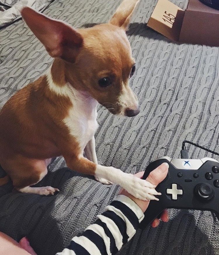 body images 2019 05 23 Amanda Body 3jpg?width=698&height=466&fit=crop&auto=webp&dpr=4