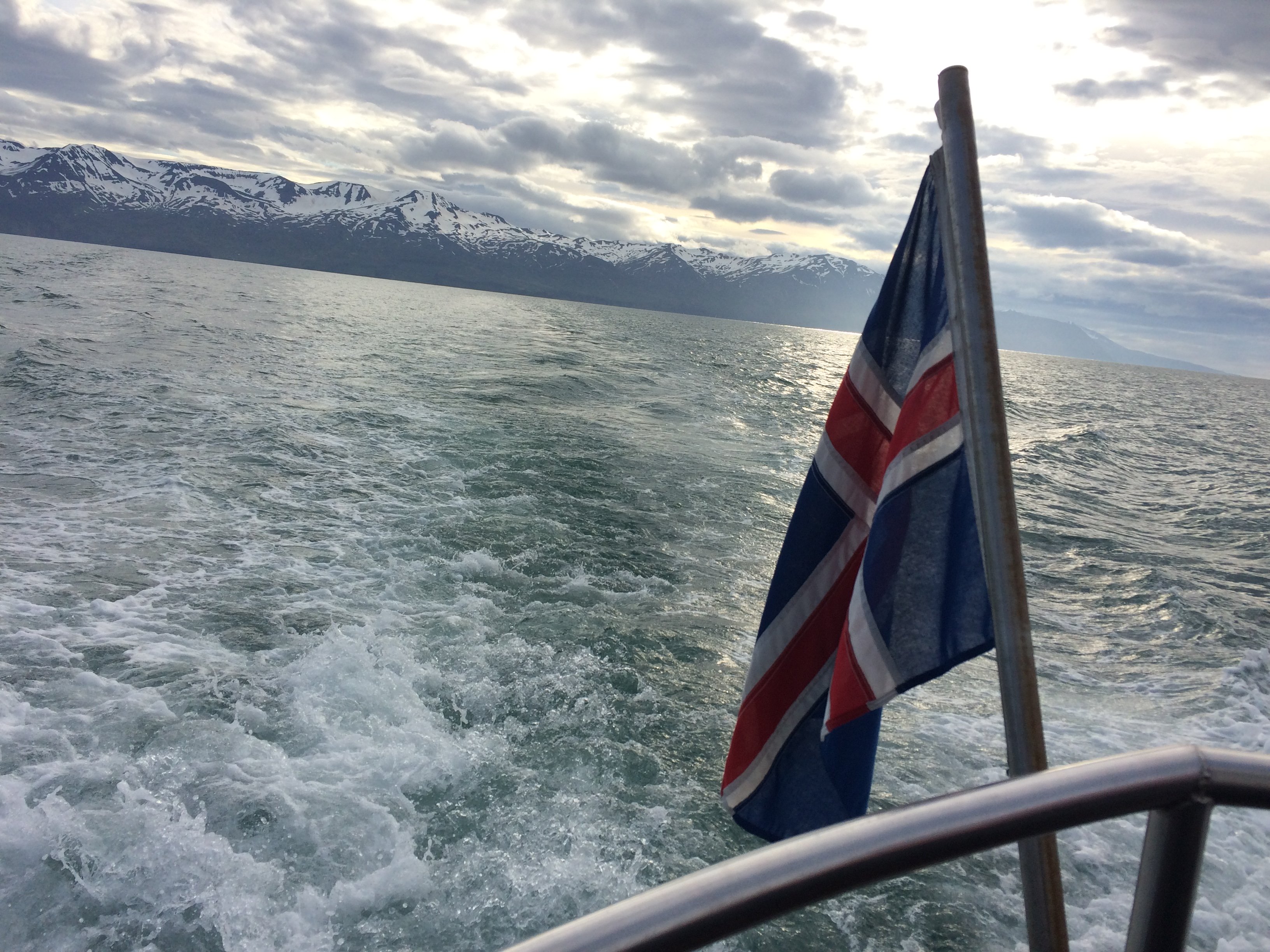 60362387 690408334752384 5974111883089674240 njpg?width=698&height=466&fit=crop&auto=webp&dpr=4