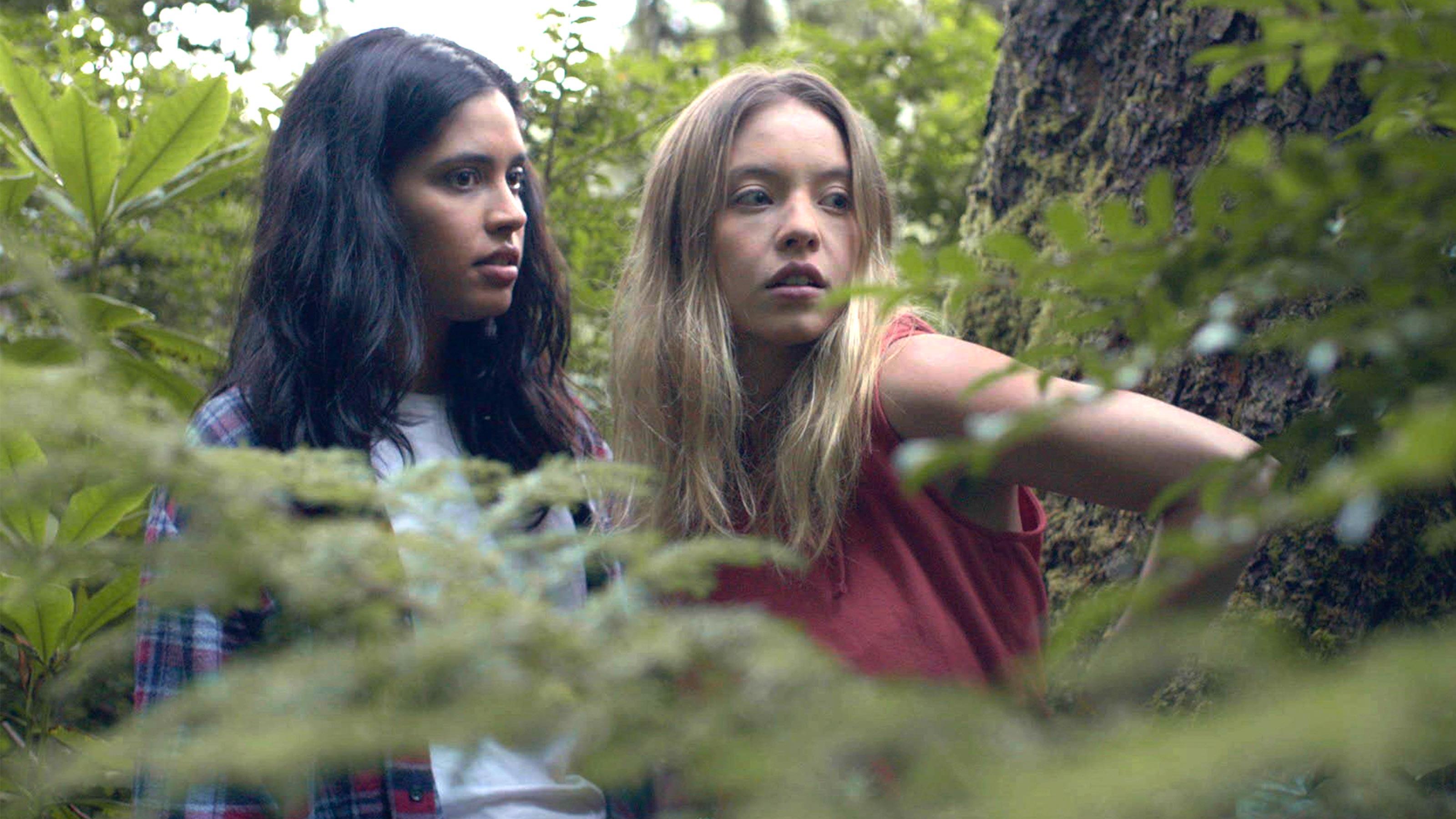 festival still graded woods 1jpg?width=698&height=466&fit=crop&auto=webp&dpr=4