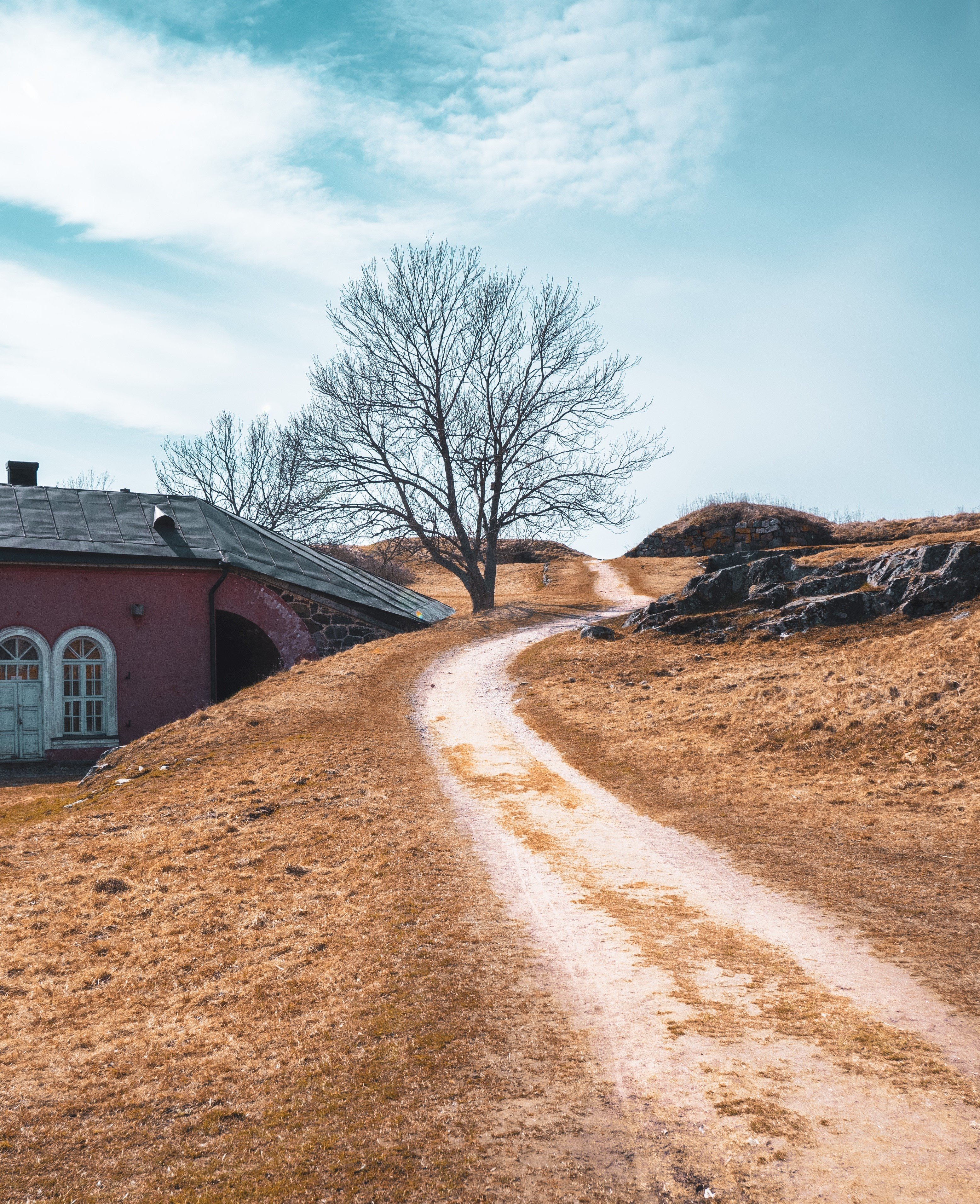 tapio haaja 1541955 unsplash 2jpg?width=698&height=466&fit=crop&auto=webp&dpr=4