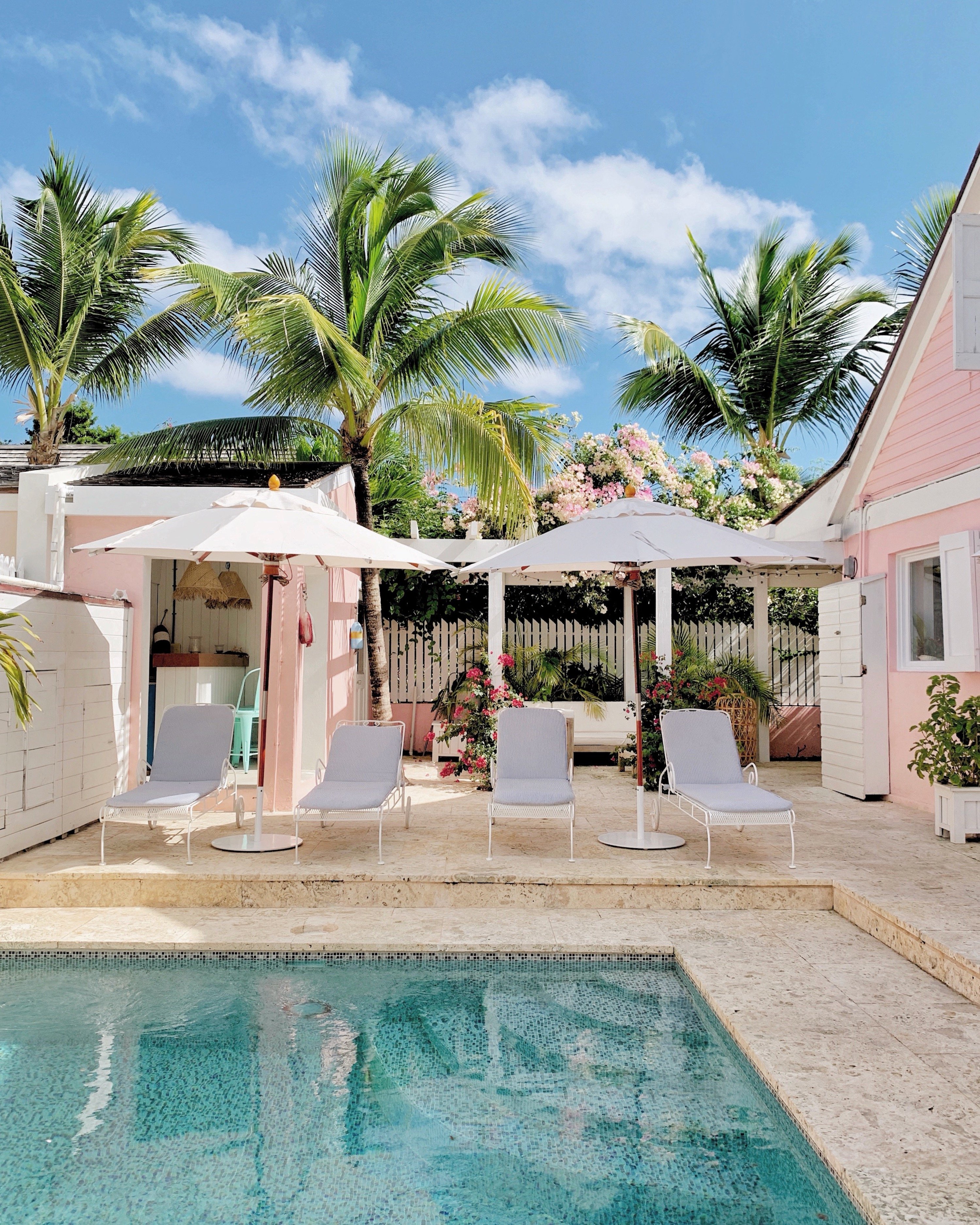 3E49CDE3 0842 4B96 8A01 76E7CF4E468Cjpg?width=698&height=466&fit=crop&auto=webp&dpr=4