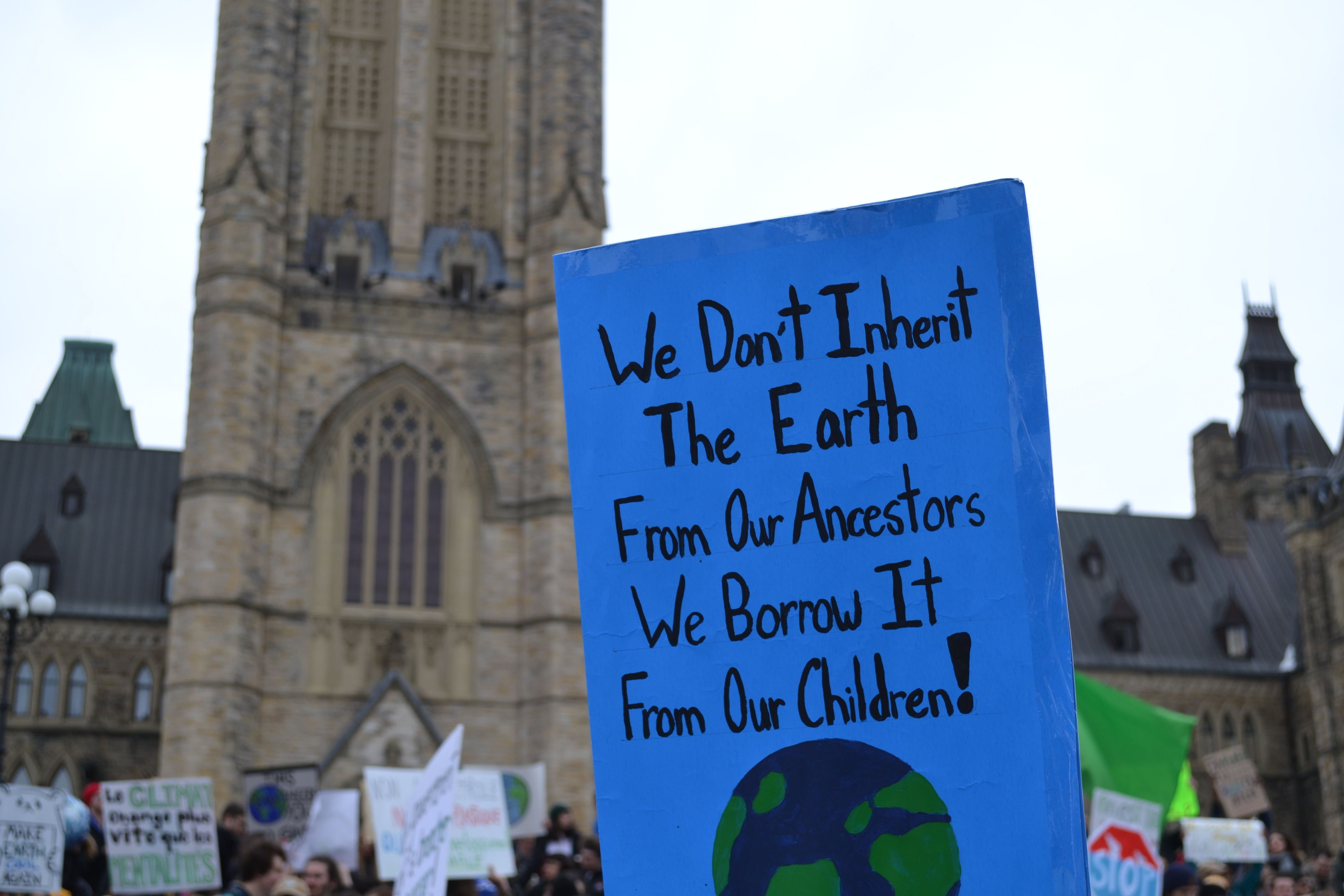 body images 2019 03 26 DSC 015220copyJPG?width=698&height=466&fit=crop&auto=webp&dpr=4