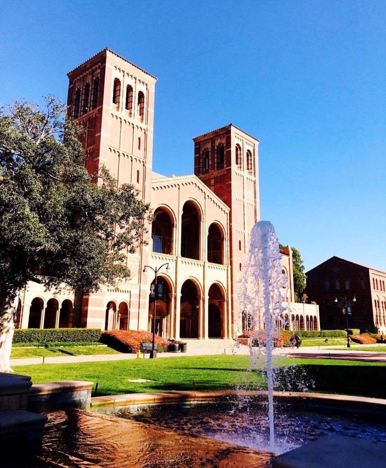 IMG 9427jpeg?width=698&height=466&fit=crop&auto=webp&dpr=4