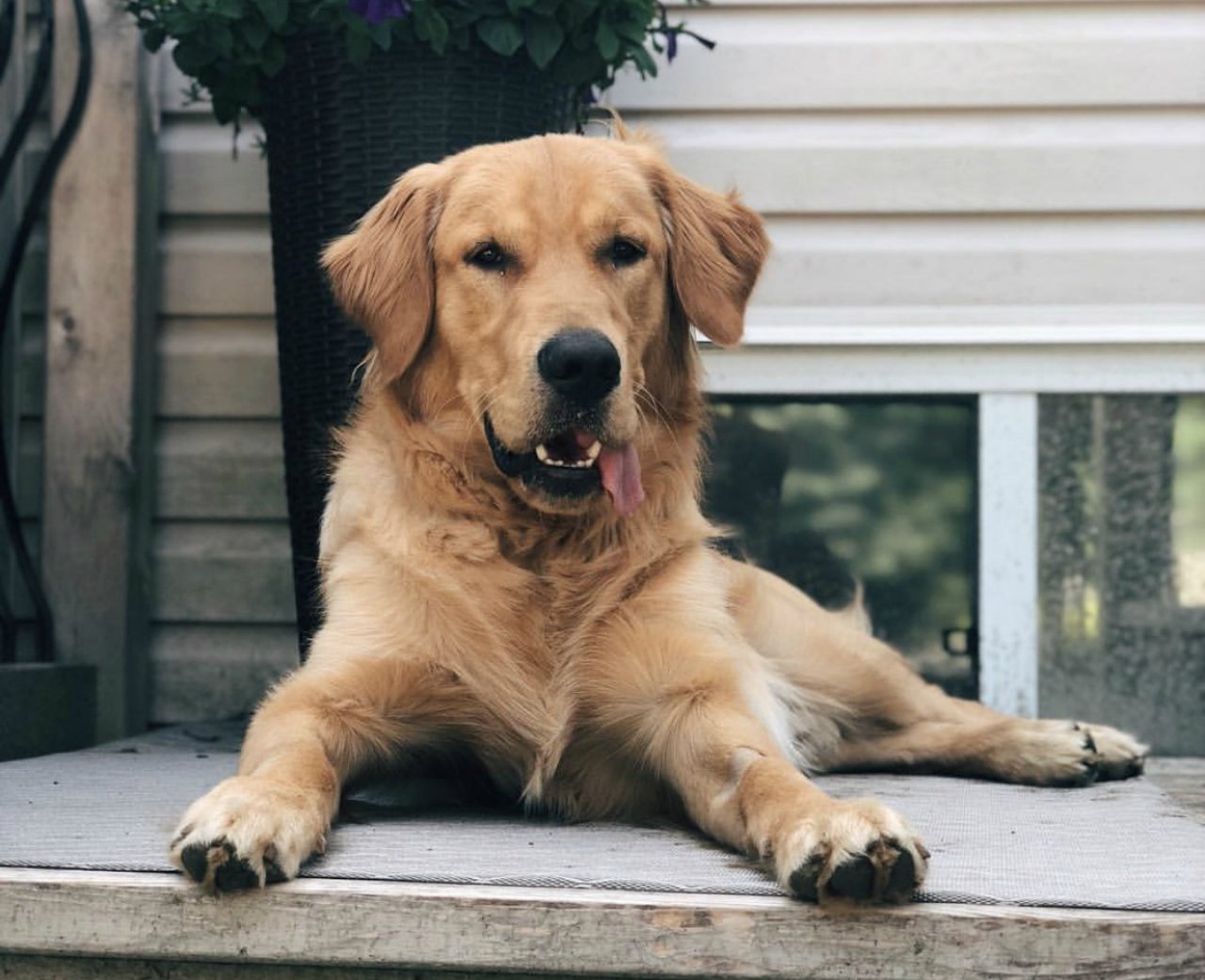 IMG 0932jpg?width=1280&height=854&fit=crop&auto=webp&dpr=4