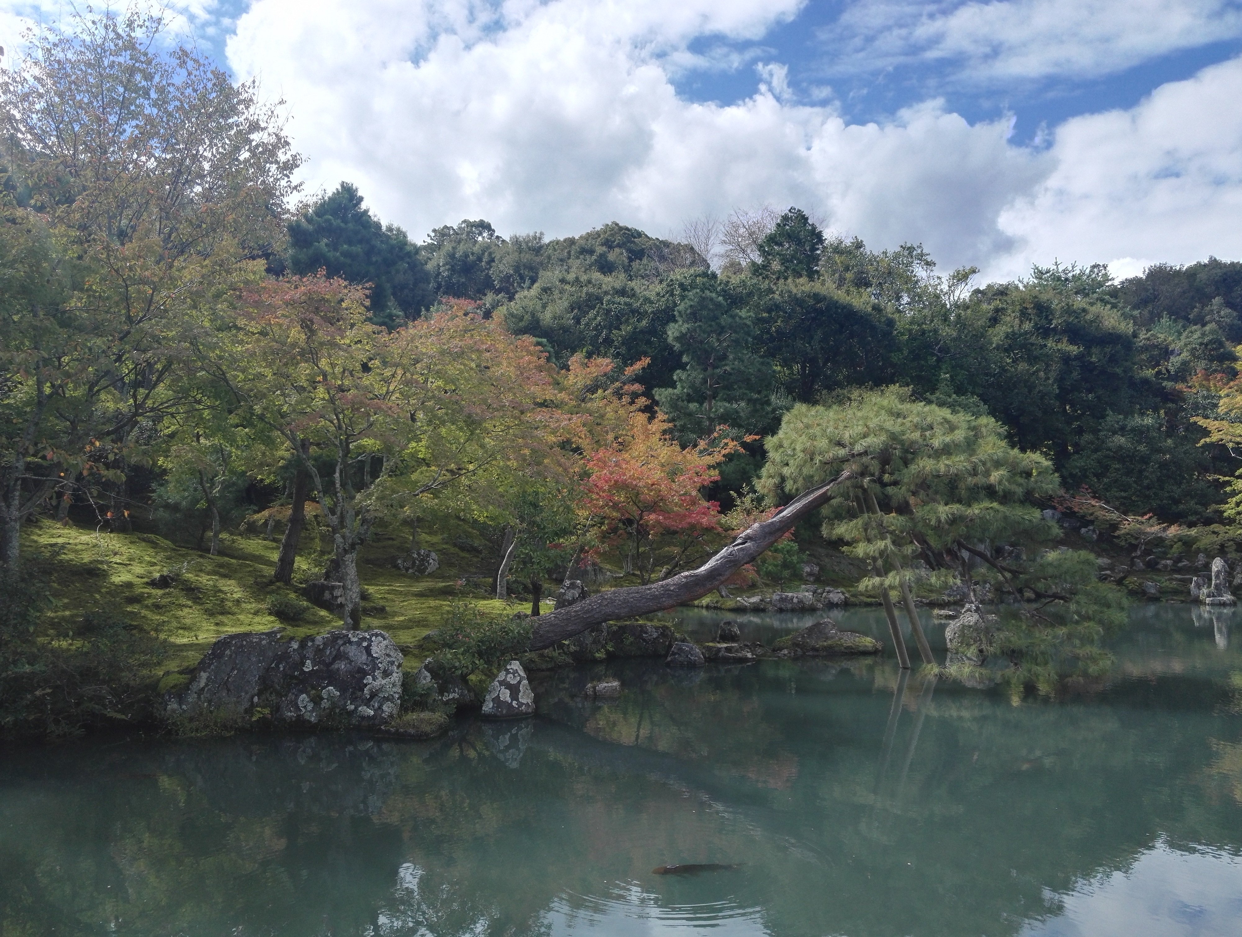 IMG 20181007 130907 2jpg?width=698&height=466&fit=crop&auto=webp&dpr=4