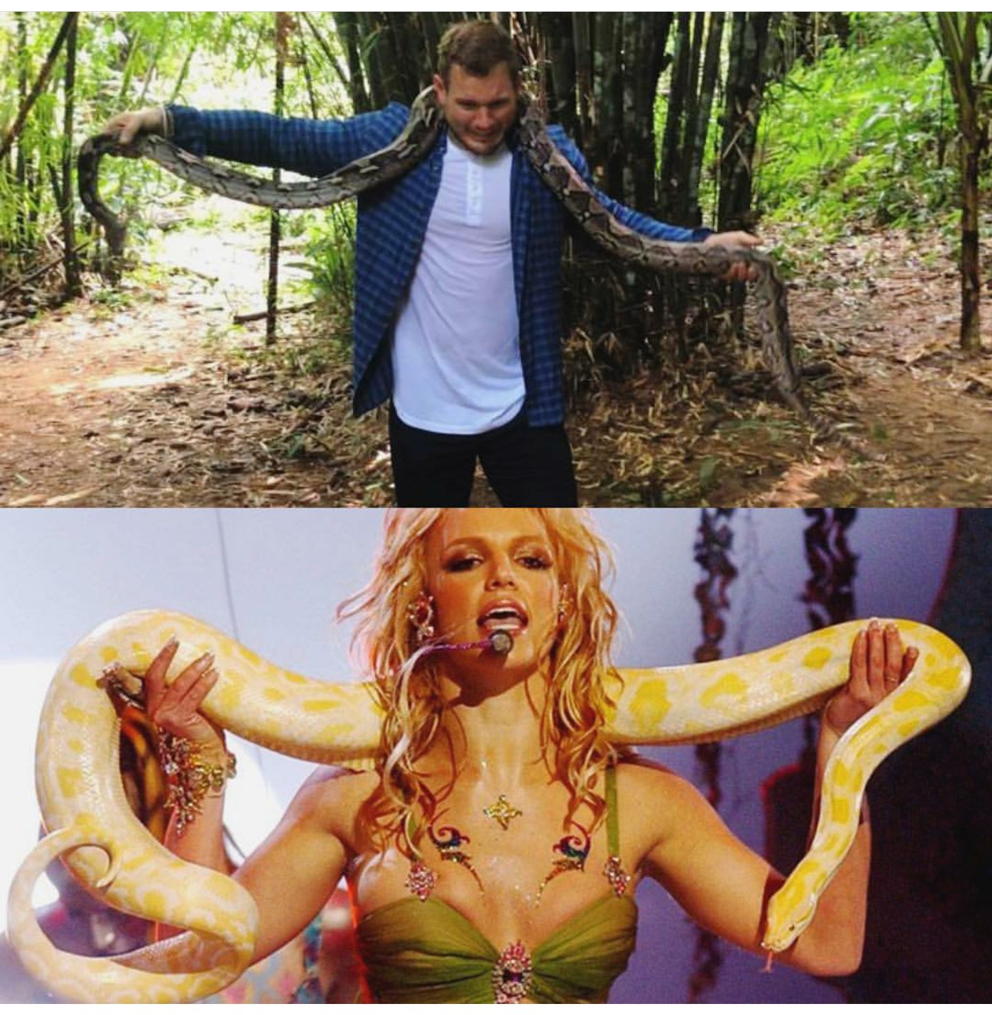 colton snake 2png?width=698&height=466&fit=crop&auto=webp&dpr=4