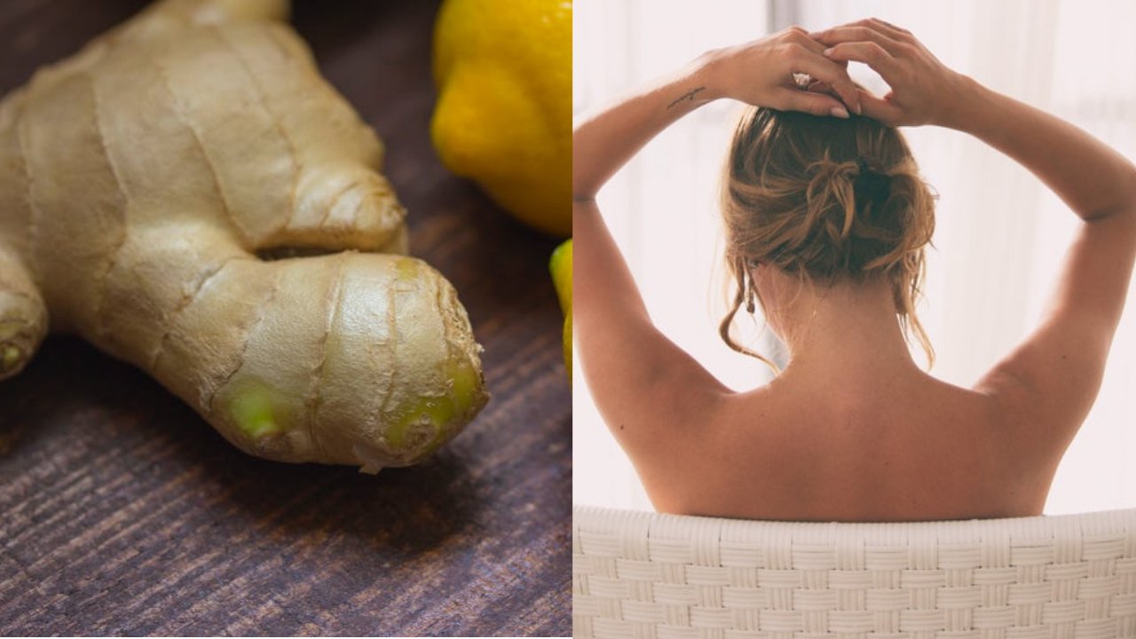 Untitled designpng?width=1280&height=854&fit=crop&auto=webp&dpr=4