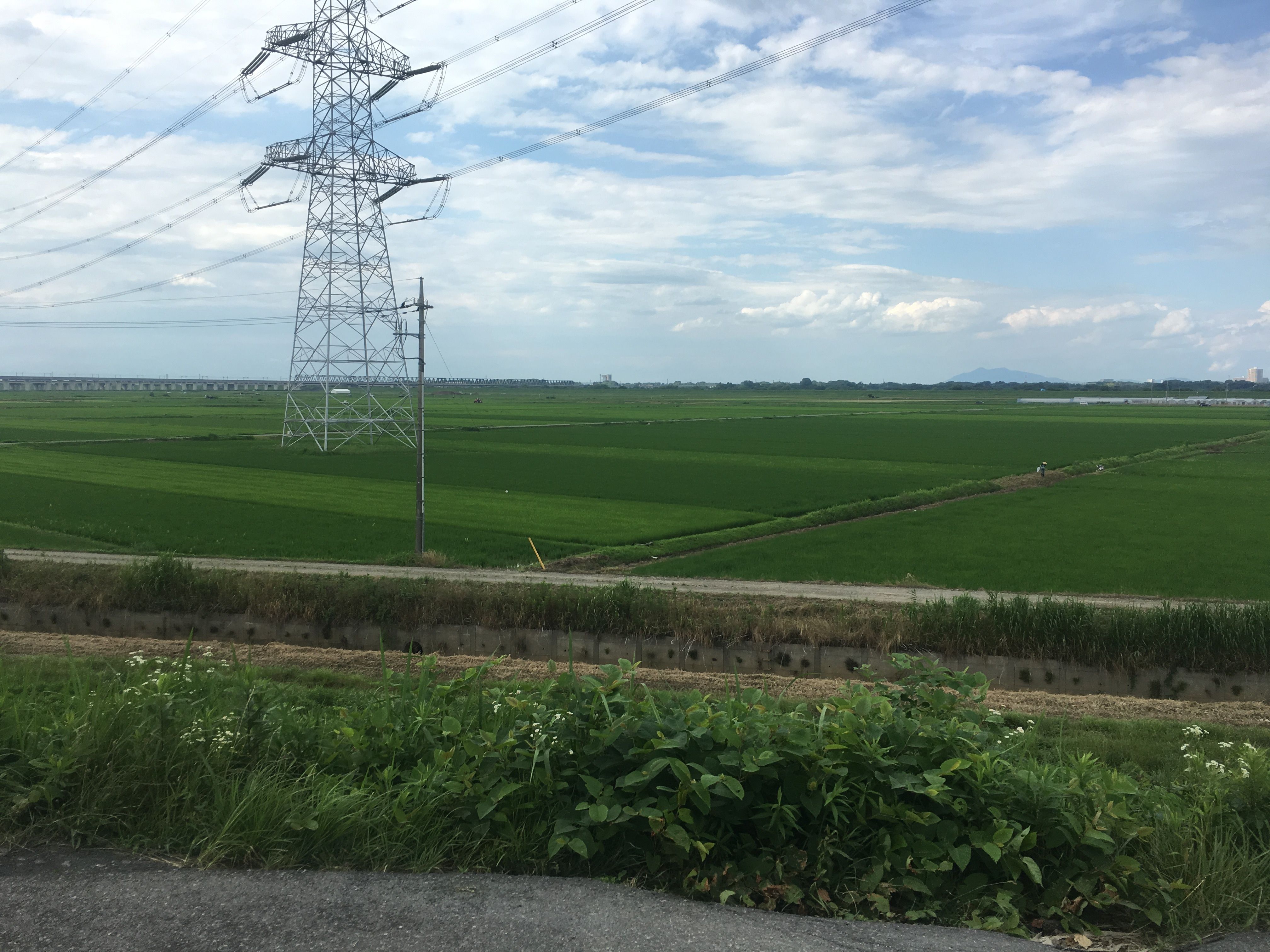 body images 2019 03 21 IMG 2853JPG?width=1280&height=854&fit=crop&auto=webp&dpr=4