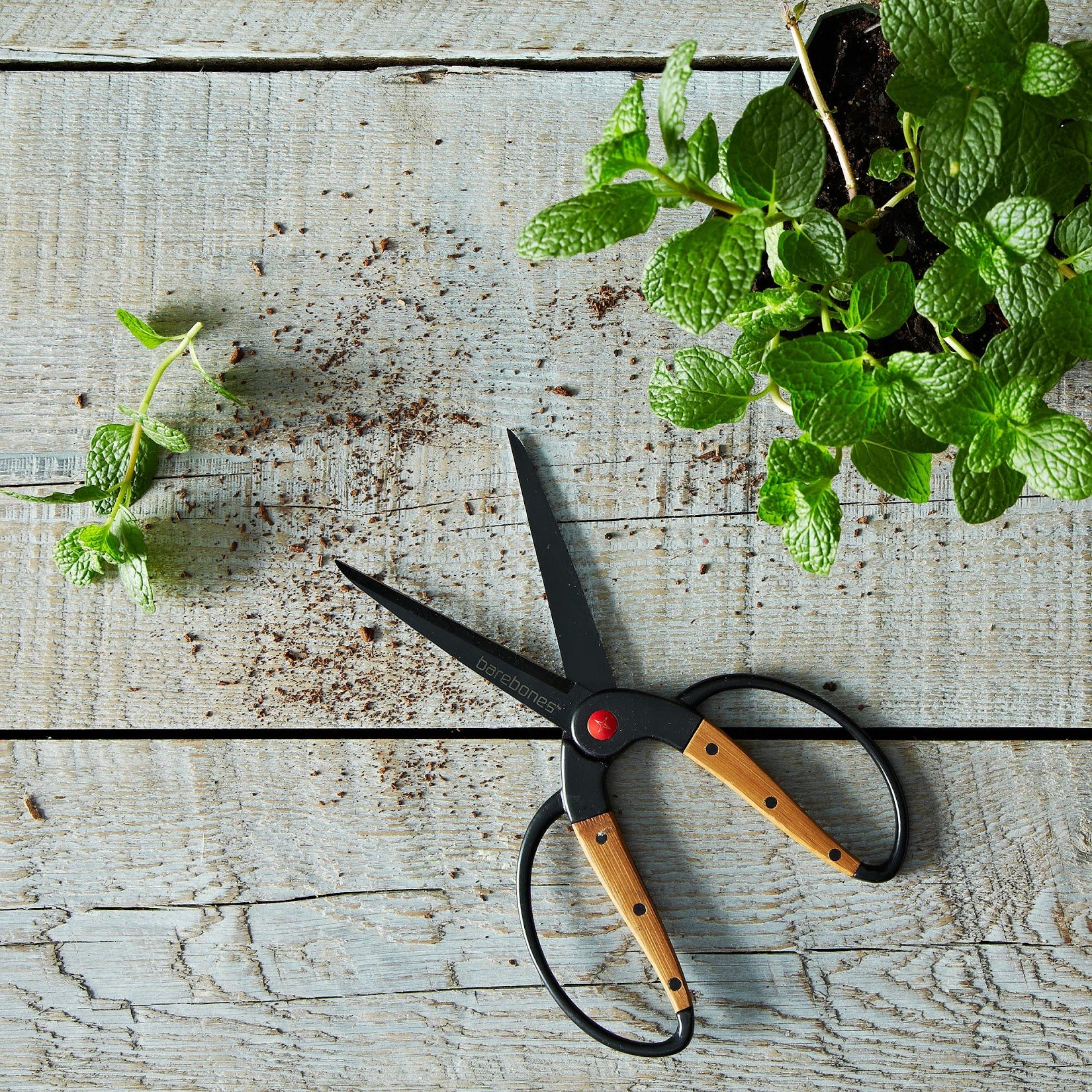 Garden Scissorsjpg?width=698&height=466&fit=crop&auto=webp&dpr=4