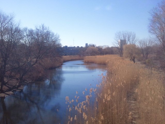 boston spring 0jpg?width=698&height=466&fit=crop&auto=webp&dpr=4