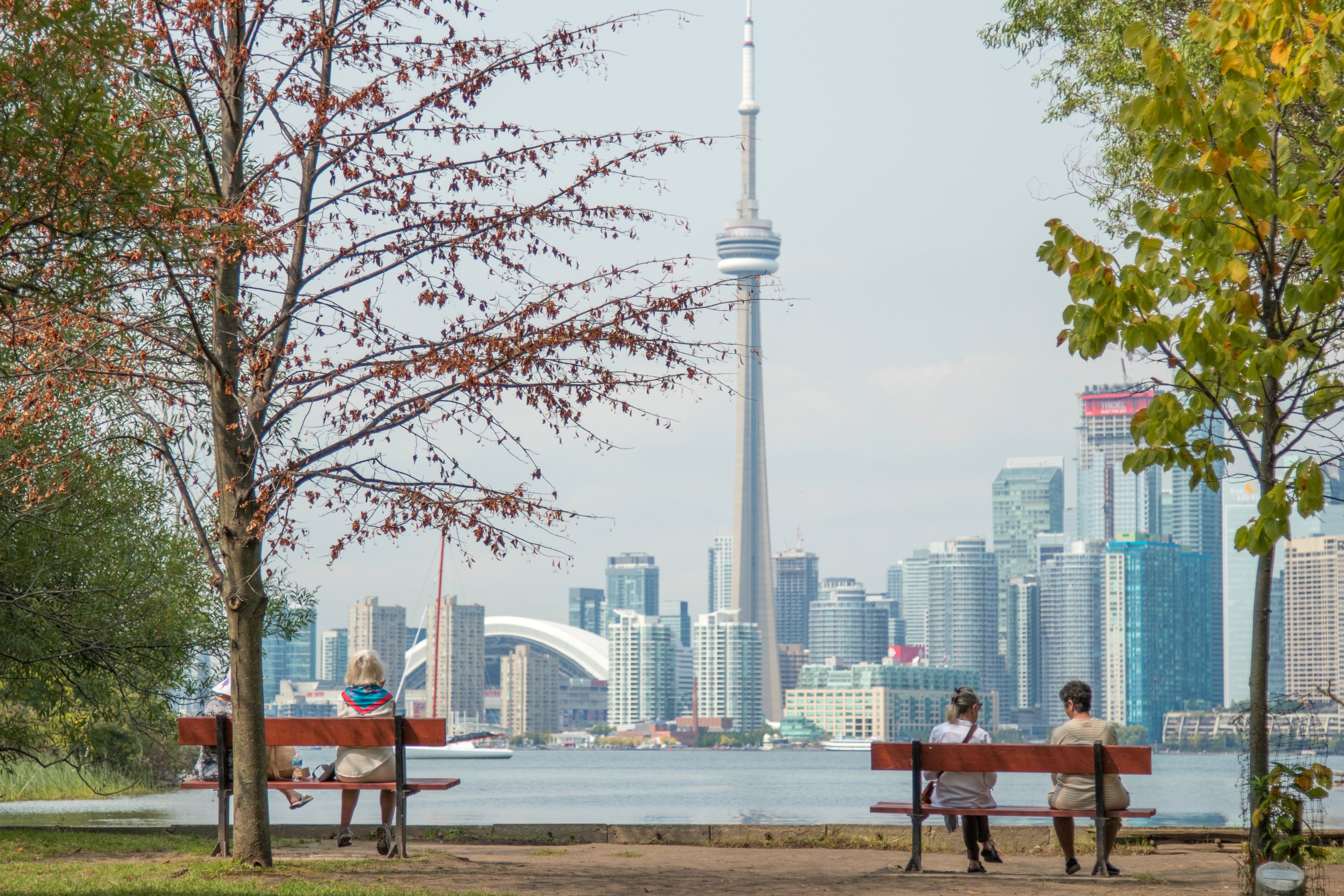 Photo of Toronto Skyline in warm weather