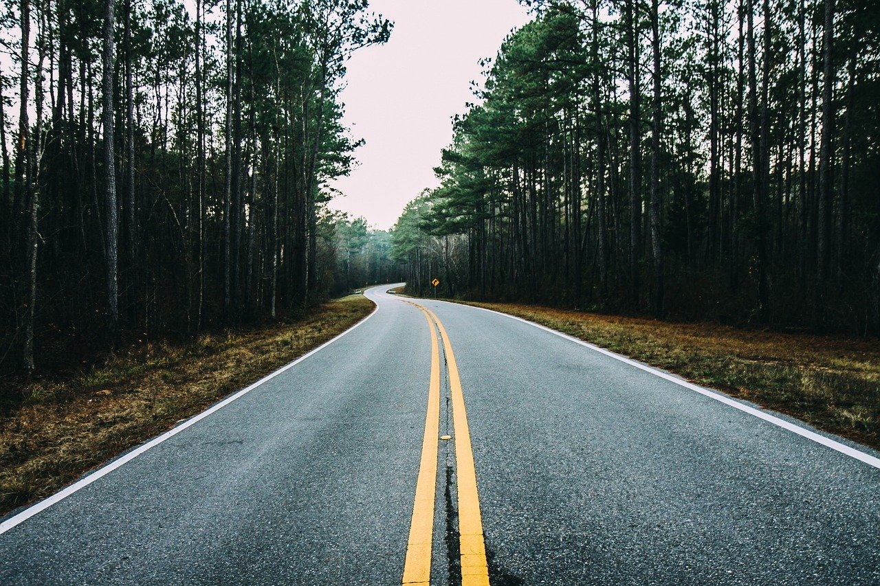 Road cutting through a forest
