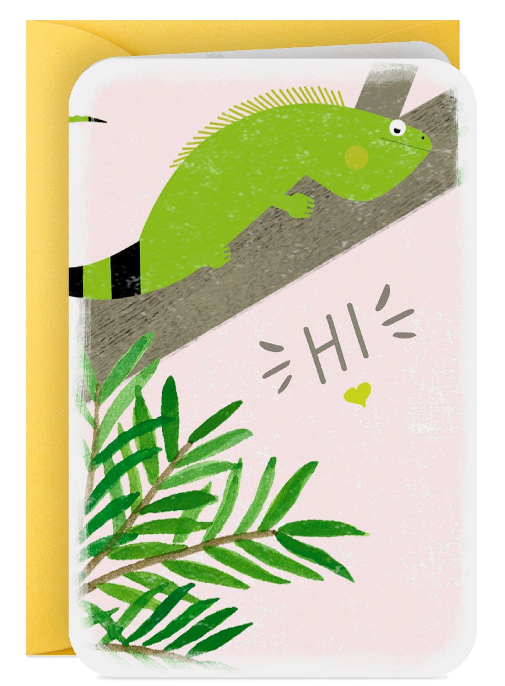 C1 Hi Iguana?width=1024&height=1024&fit=cover&auto=webp&dpr=4