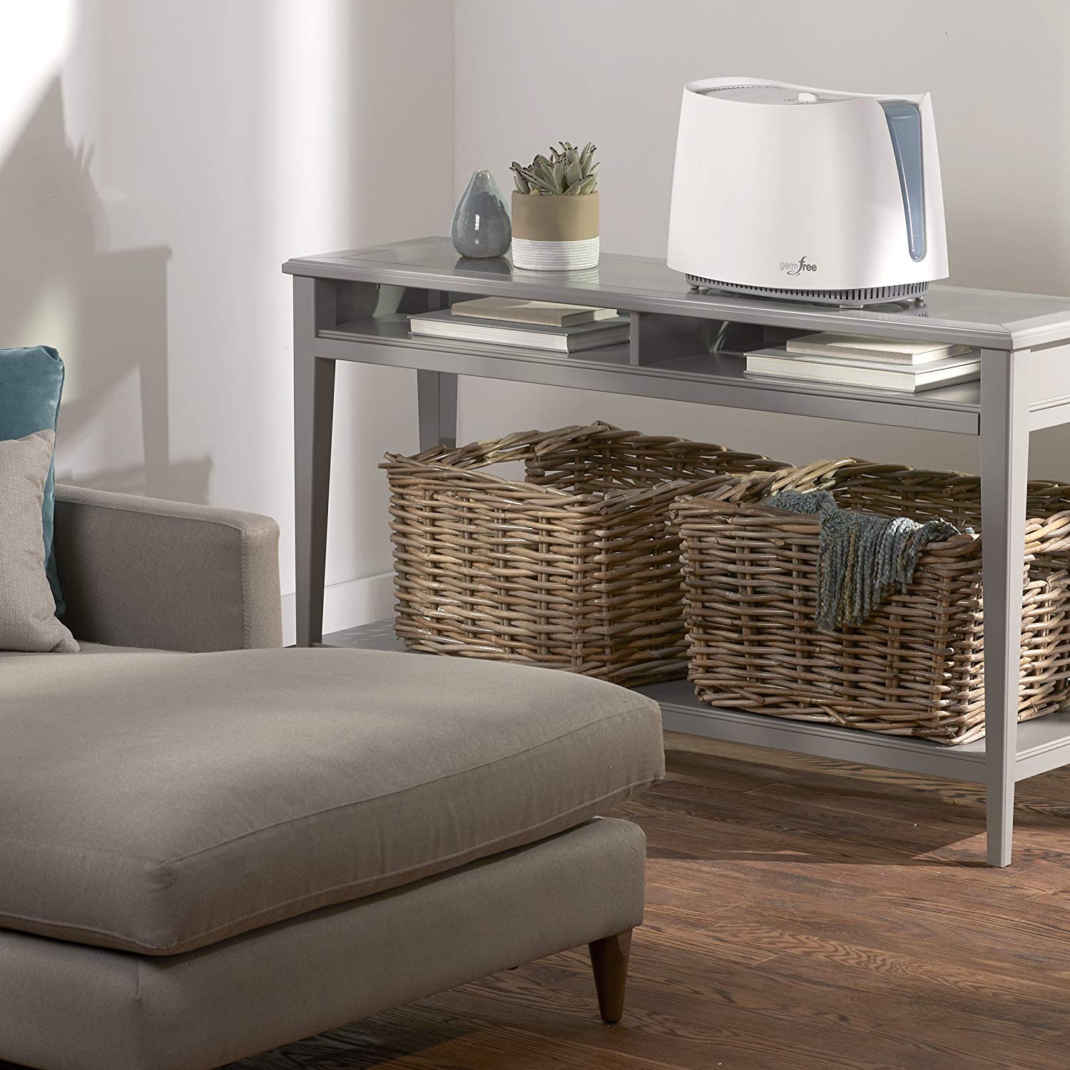 humidifier?width=1024&height=1024&fit=cover&auto=webp&dpr=4