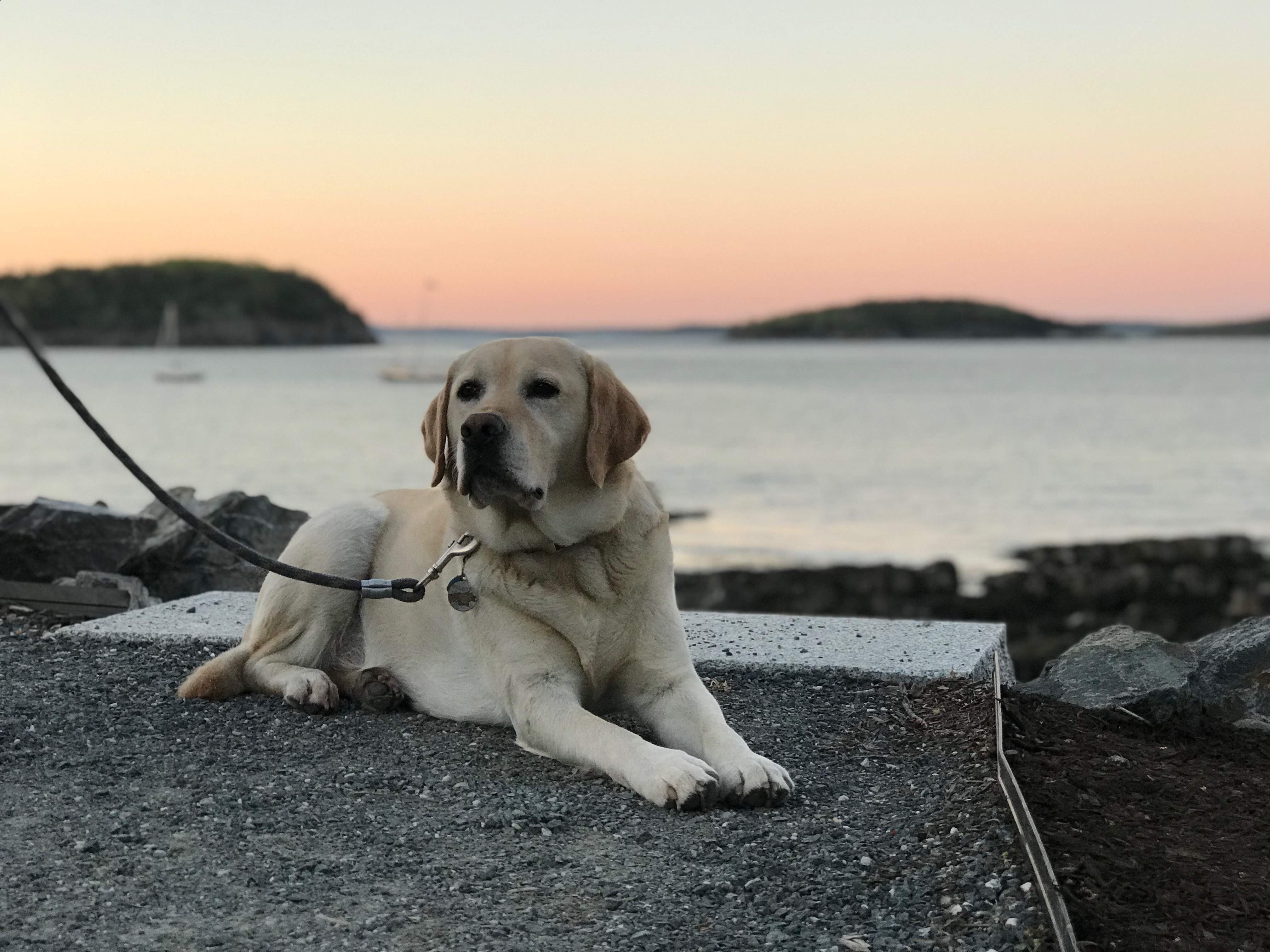 img 3075jpg by Allie Miller?width=698&height=466&fit=crop&auto=webp&dpr=4