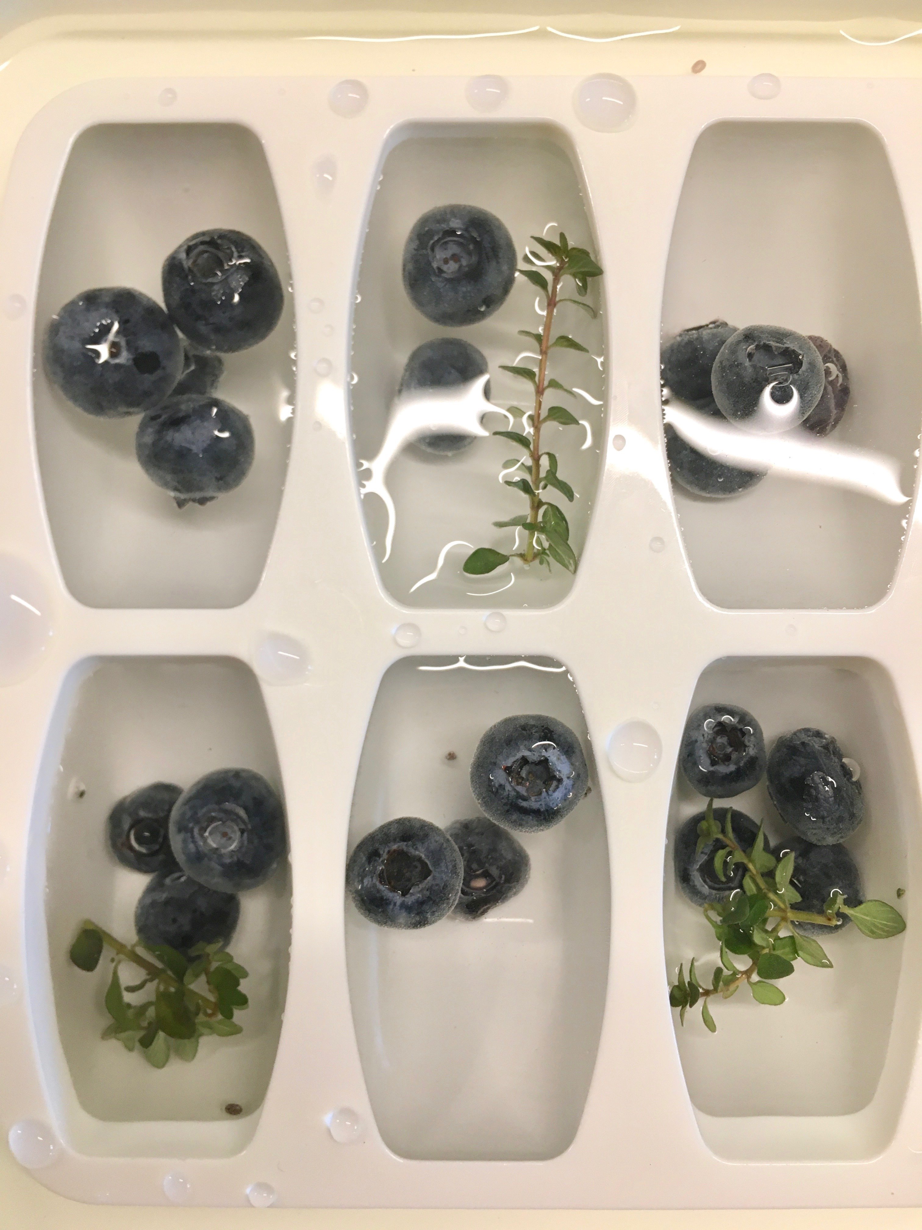 Ice cubes with blueberries