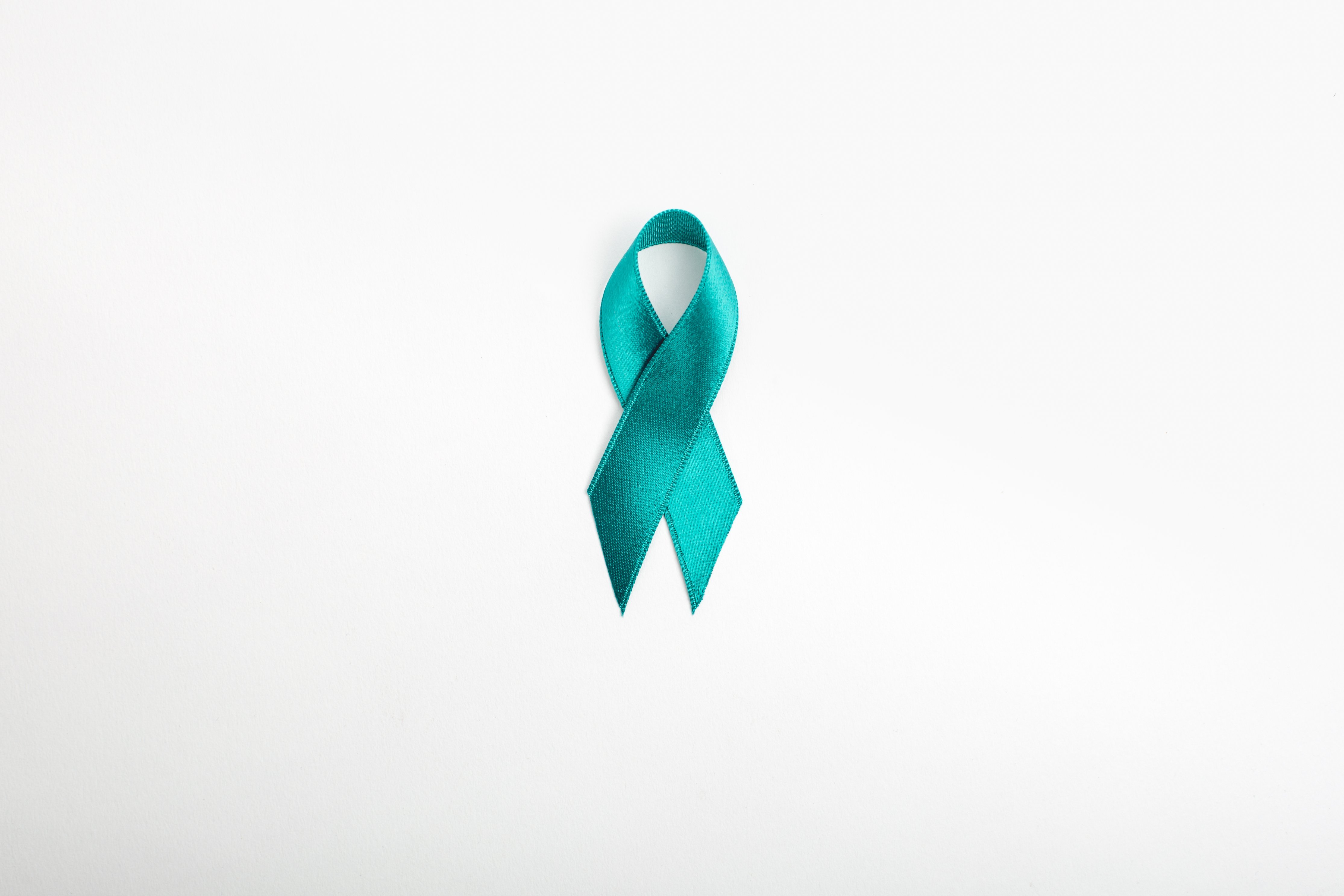 teal ribbonjpg by Shopify Partners?width=698&height=466&fit=crop&auto=webp&dpr=4