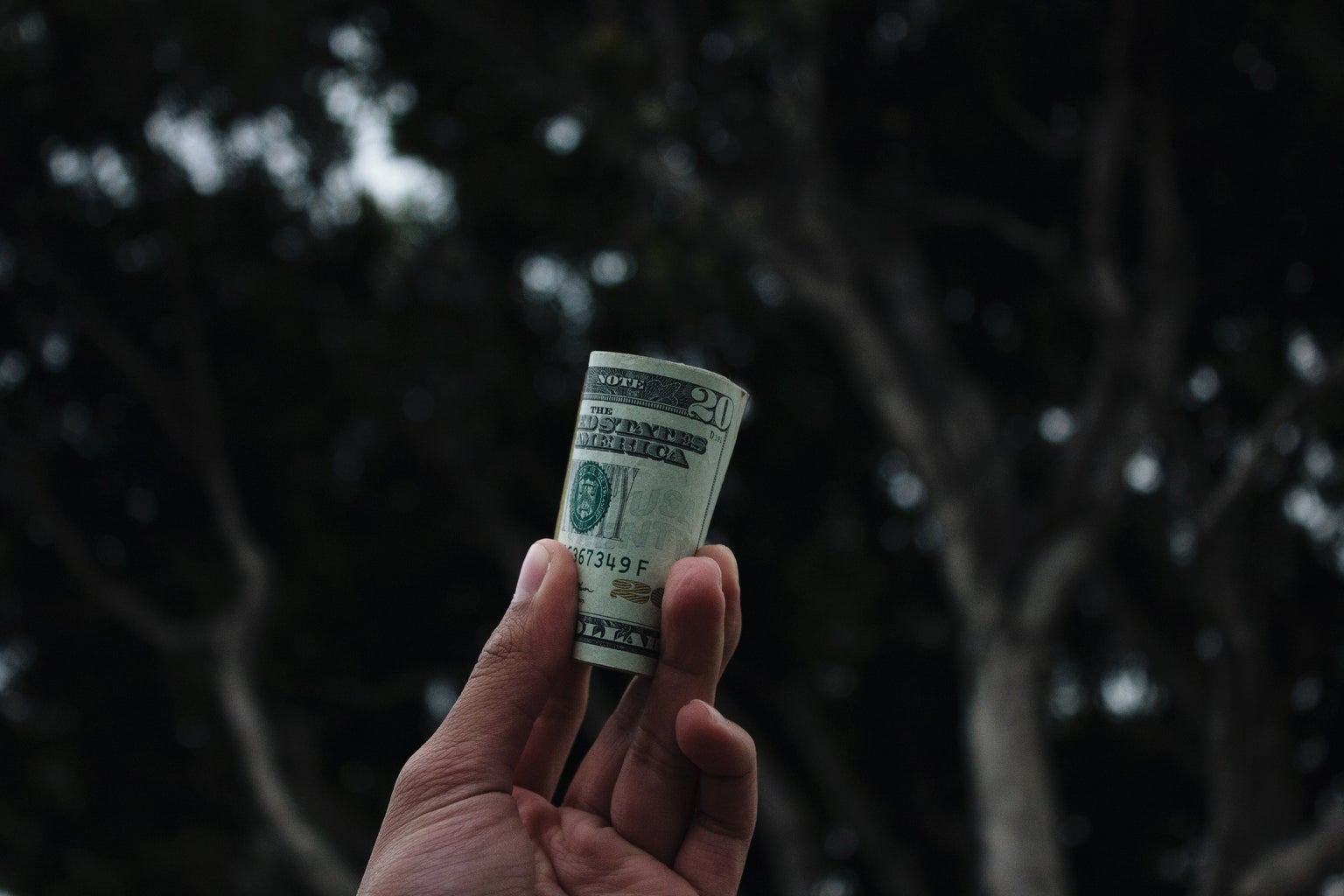A man holding a bundle of cash in his hands with trees in the background