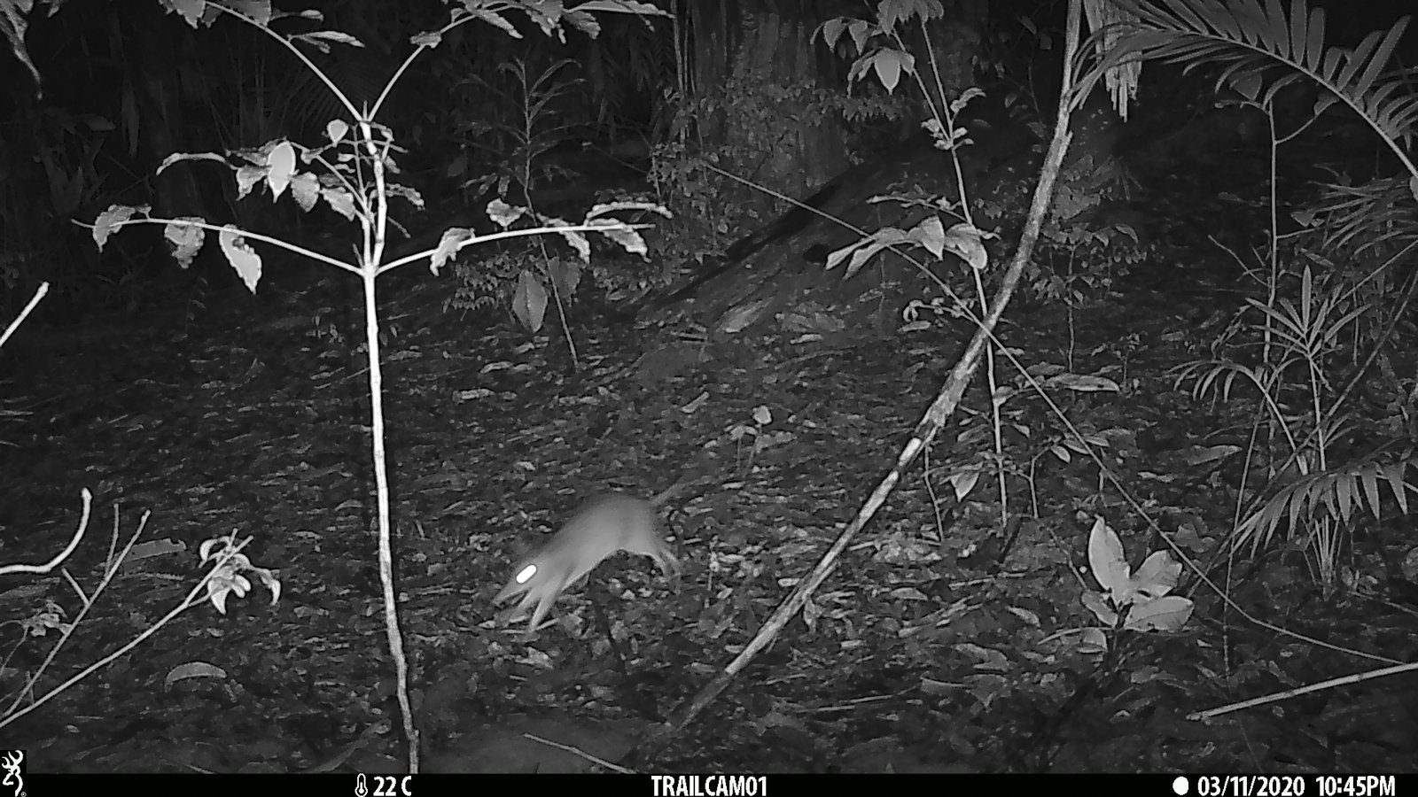 pasted image 0png by Julia Gardner?width=698&height=466&fit=crop&auto=webp&dpr=4