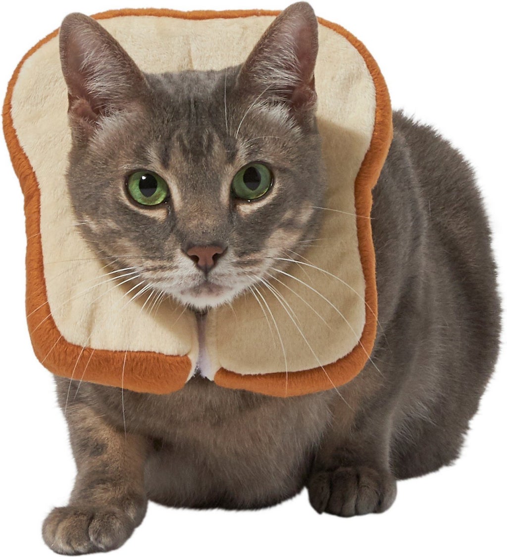 bread cat costume