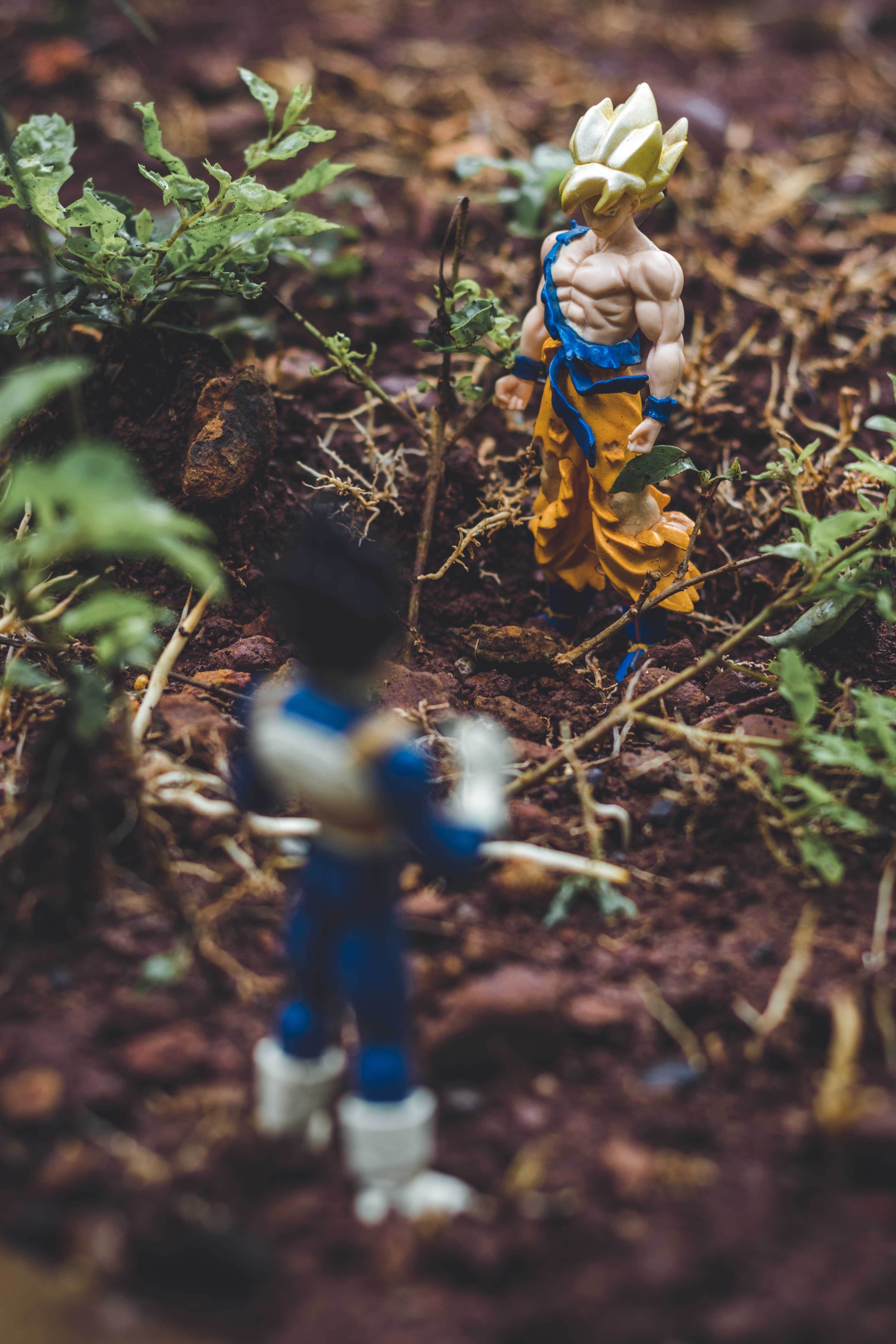 Goku and Vegetta anime action figures on soil beside plants