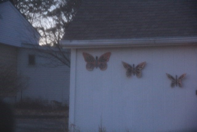 Butterfly decorations on a barn side.