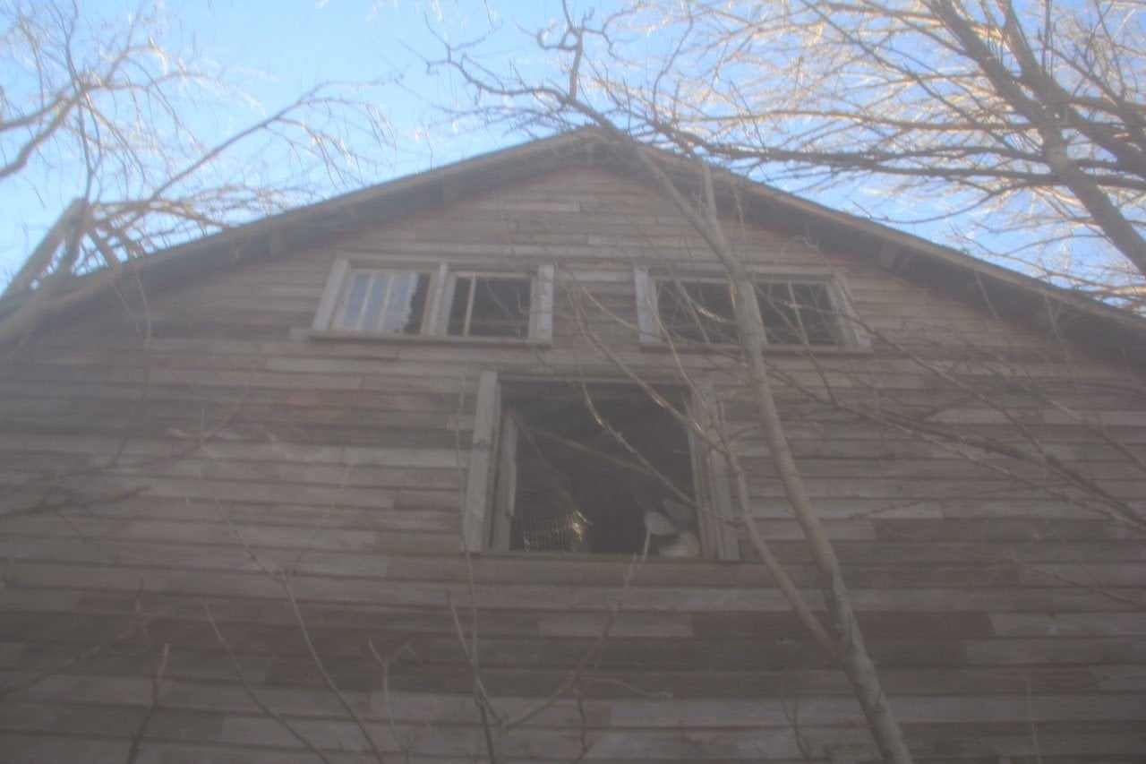 A view of the top of an old brown barn.