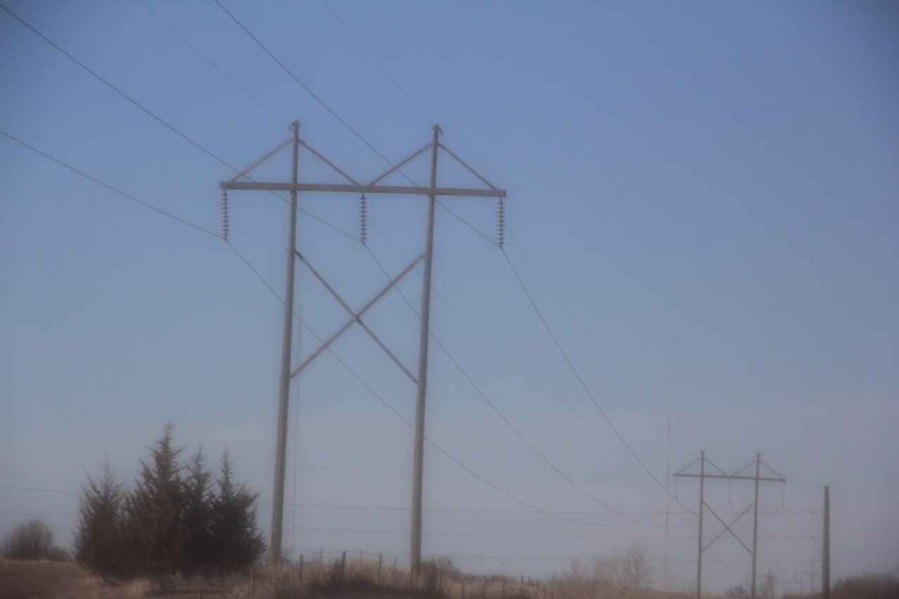 Power lines and evergreen trees at dusk.