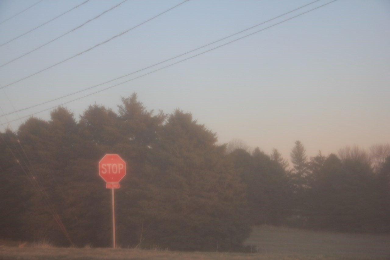 A stop sign with evergreen trees.