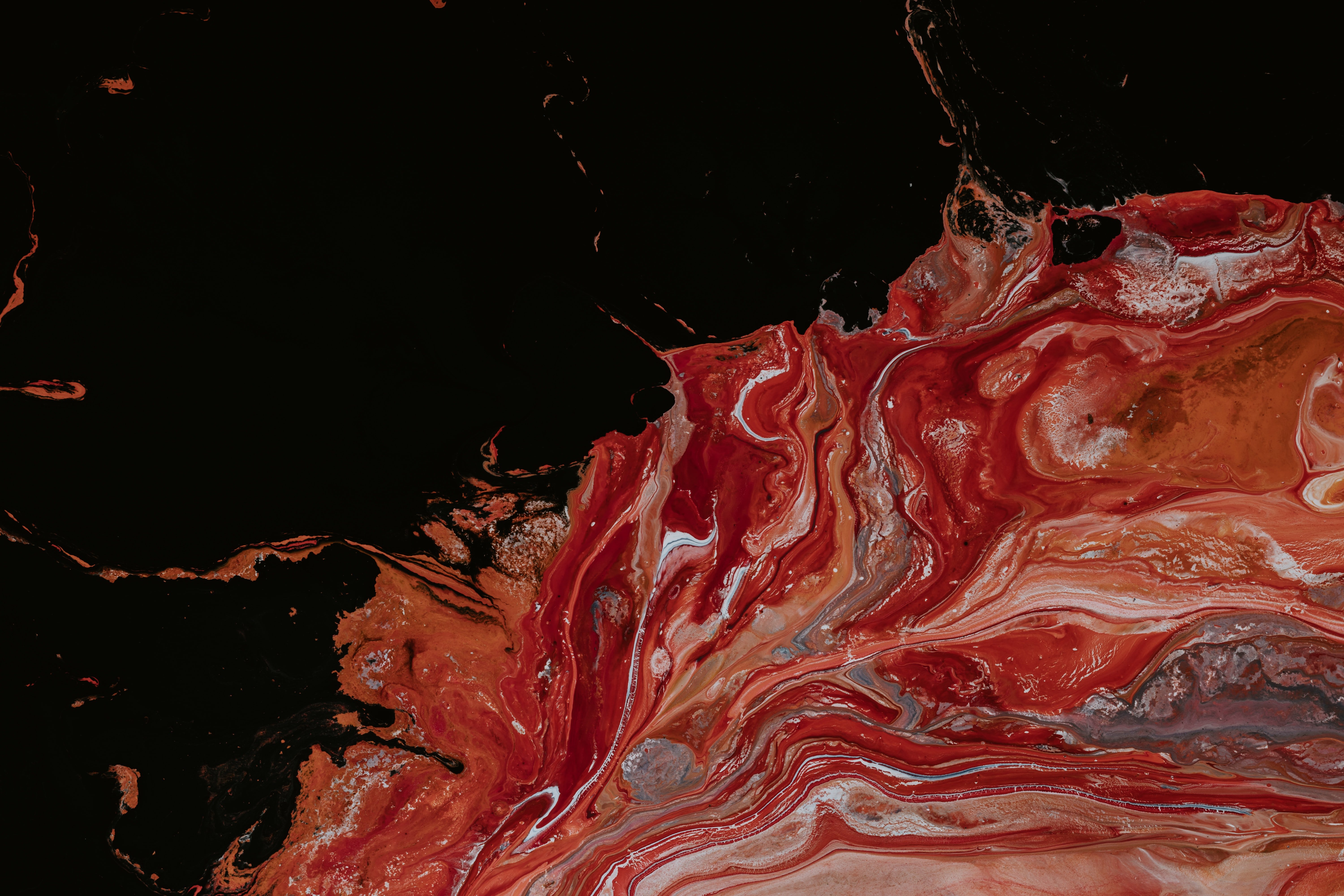 pawelczerwinskiwrzmveyicsaunsplashjpg by unsplash?width=698&height=466&fit=crop&auto=webp&dpr=4