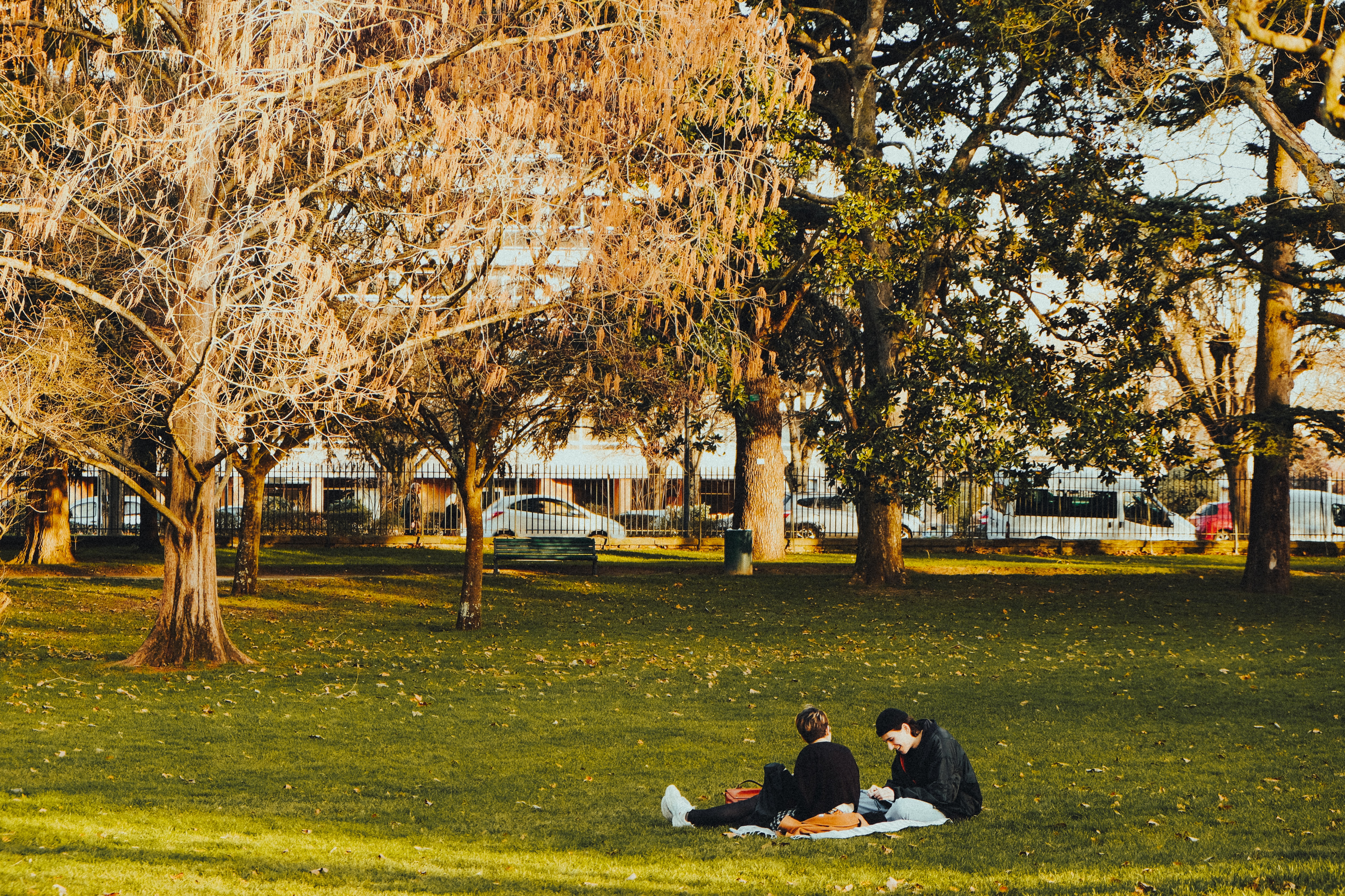 couple of people at a park