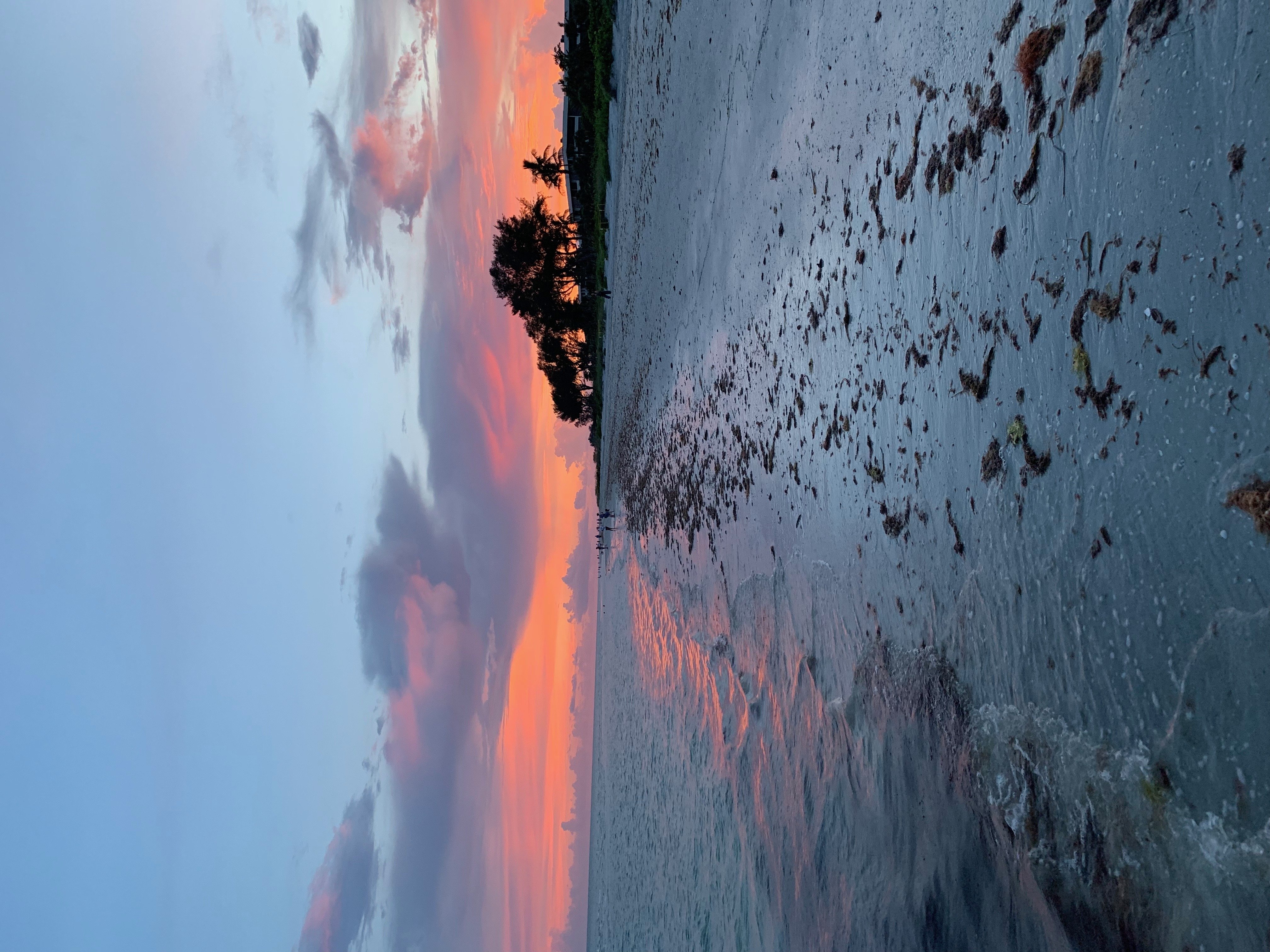 img 2599jpg by Grace Klein?width=698&height=466&fit=crop&auto=webp&dpr=4